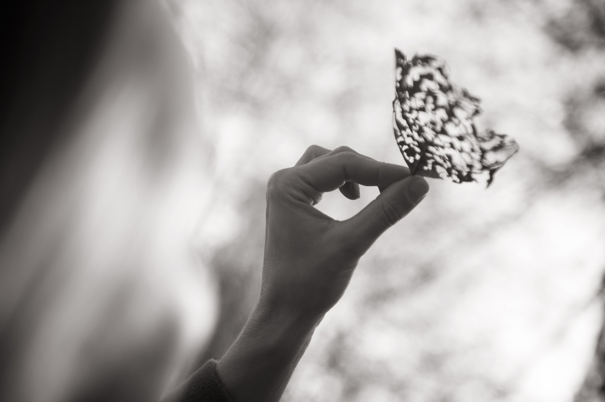 ФОТОПРОГУЛКИ. Фотограф Вера Демидкова