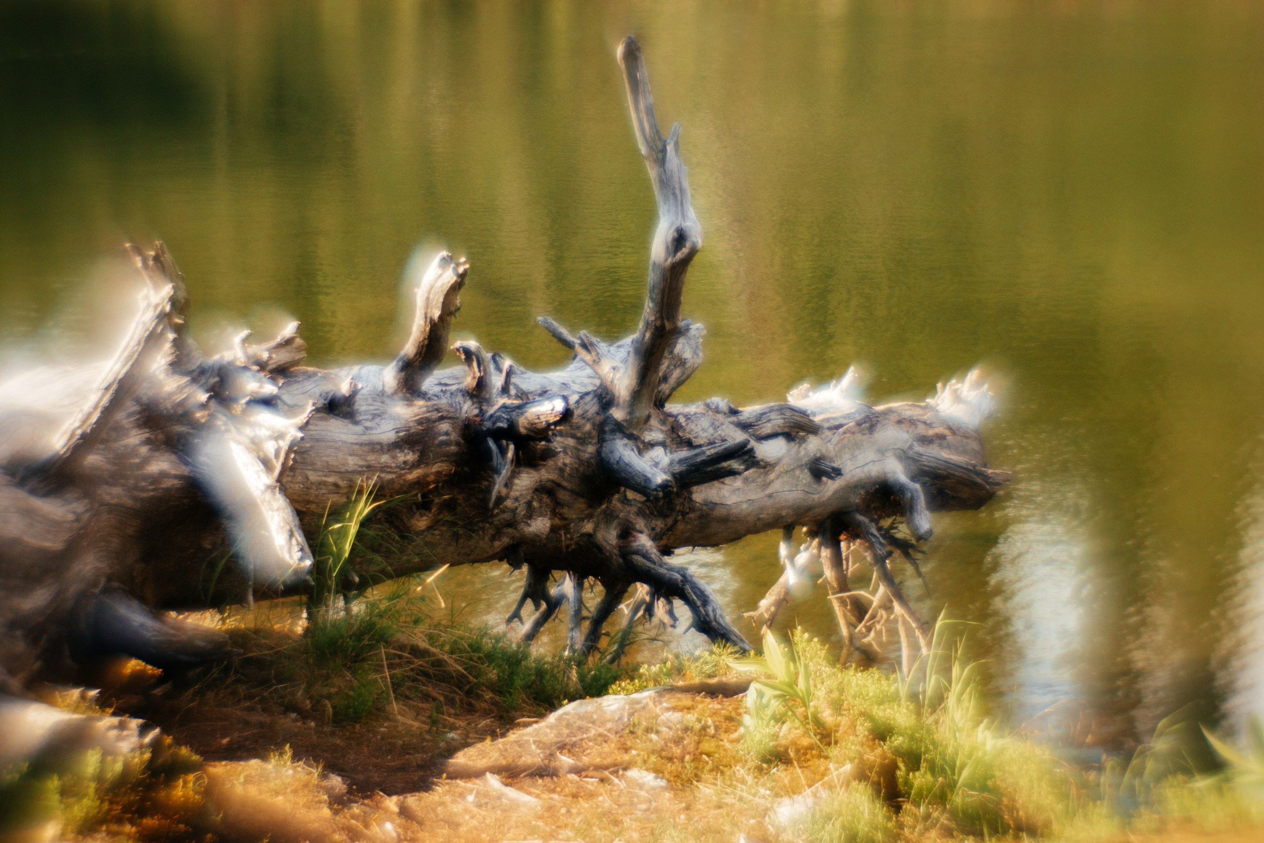 Ловец снов. Фотограф в Красноярске Оксана Корчагина