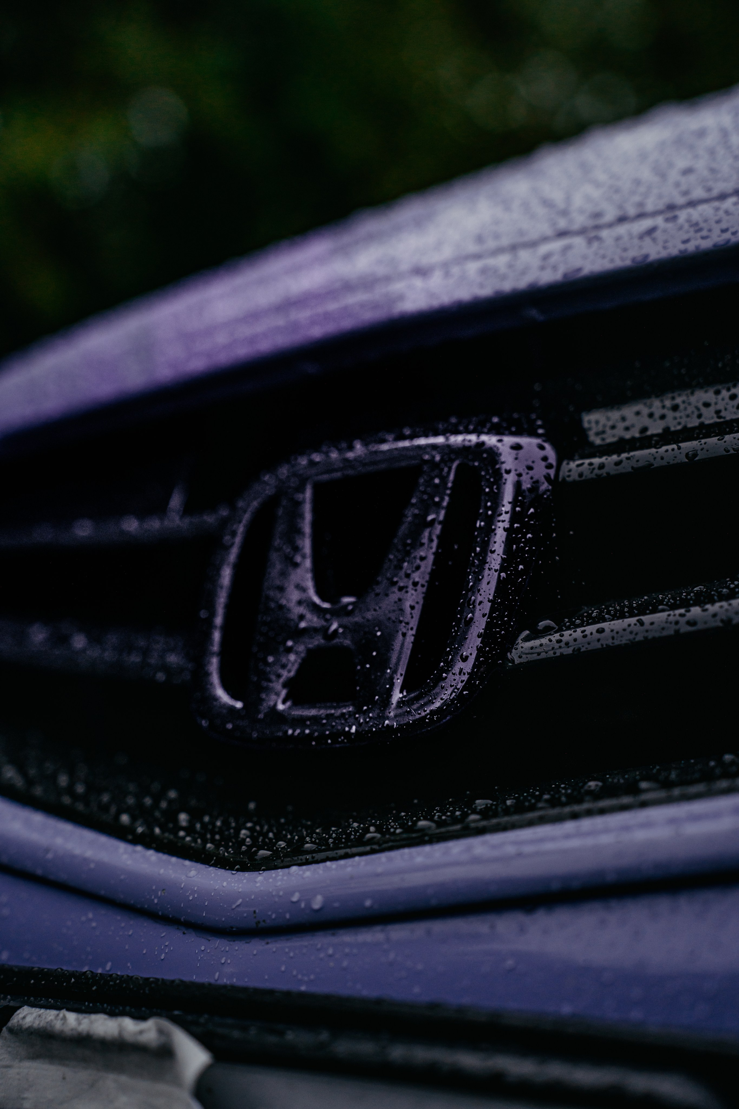 Honda Accord. Фотограф, видеограф и пилот дрона на Байкале