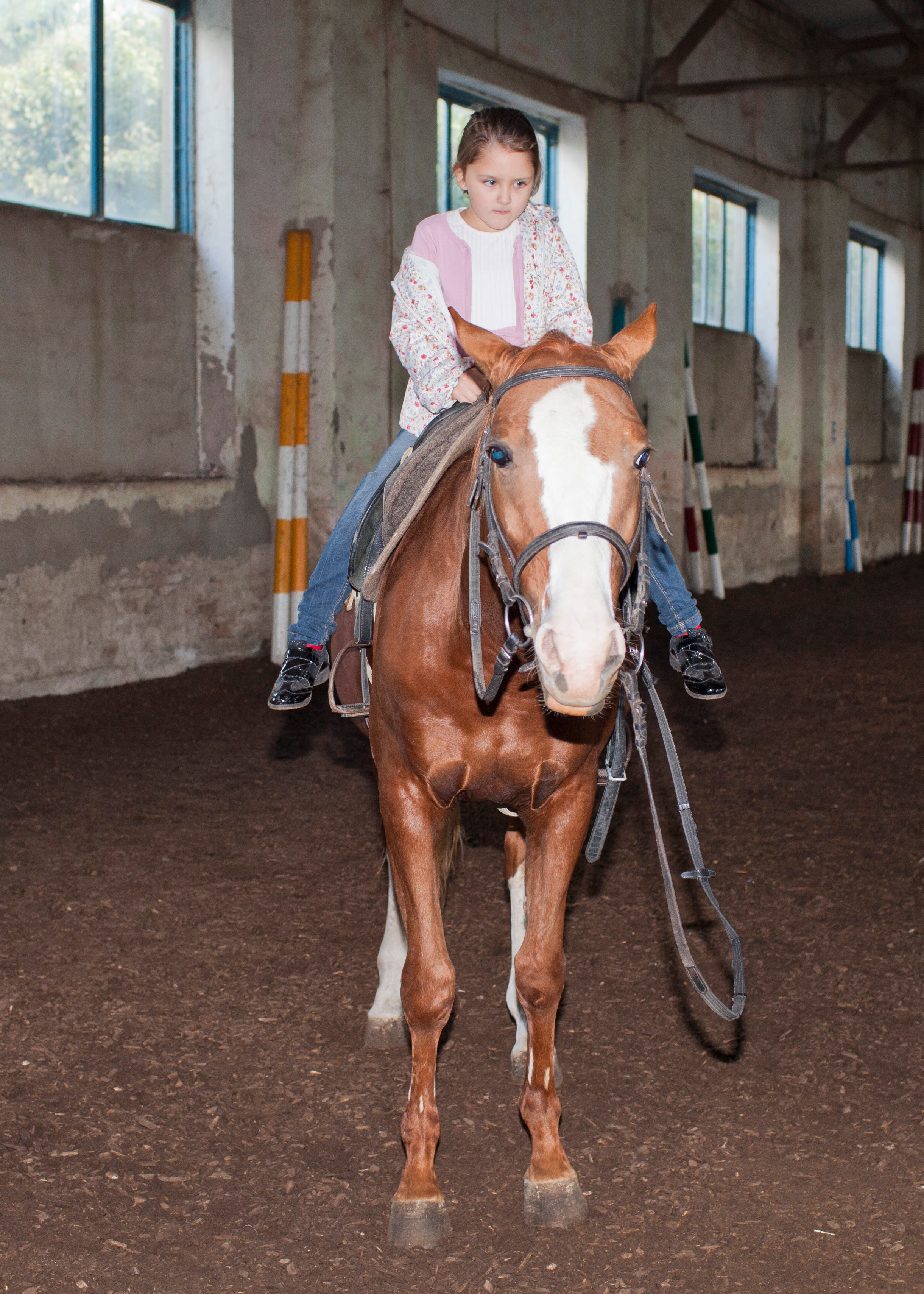 Фотосессия детей с животными. Медиапродюсер, фотограф в Минеральных Водах —Виктор Холодов