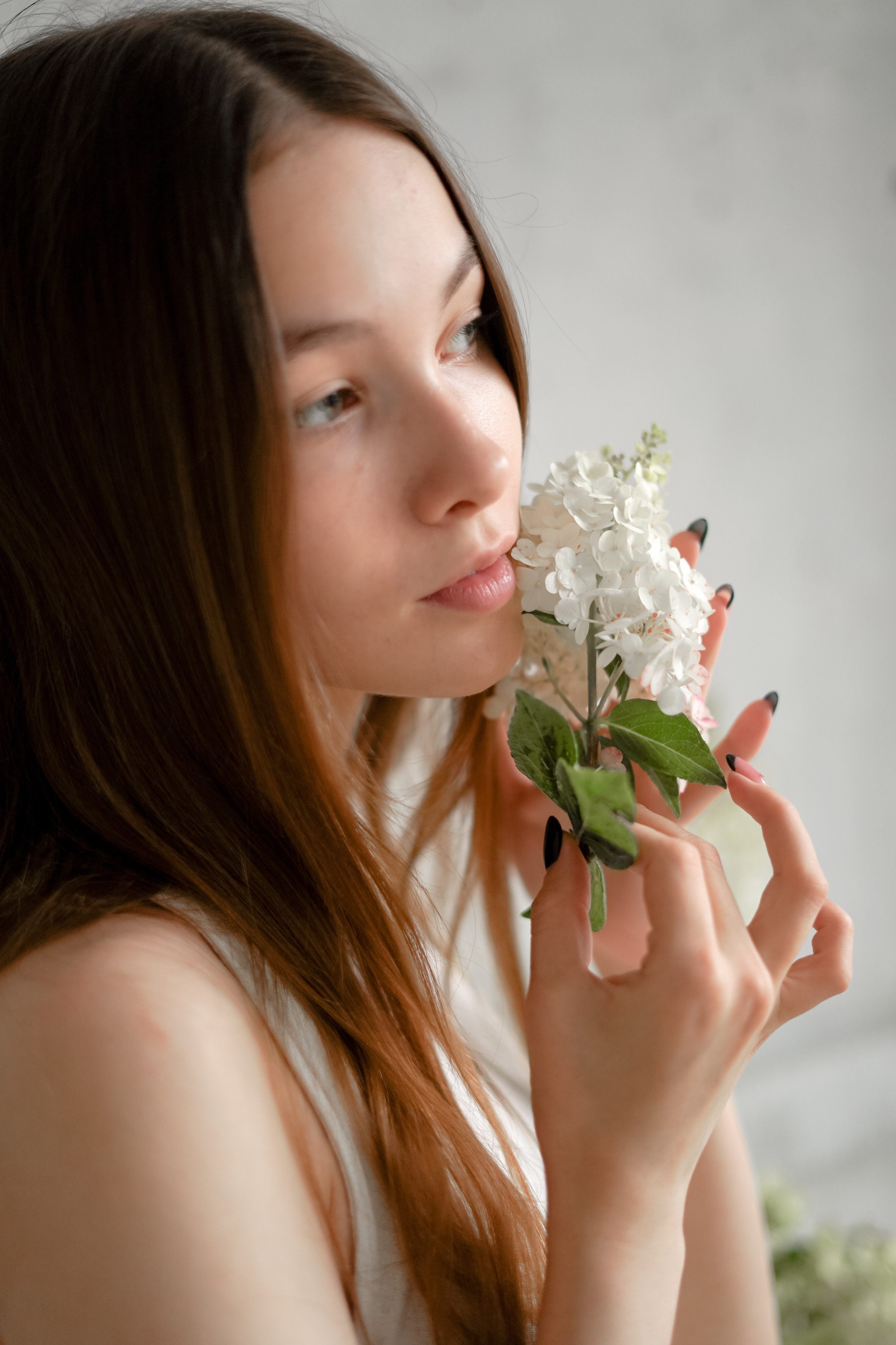 В ароматах гортензий. Фотограф Татьяна Митрофанова