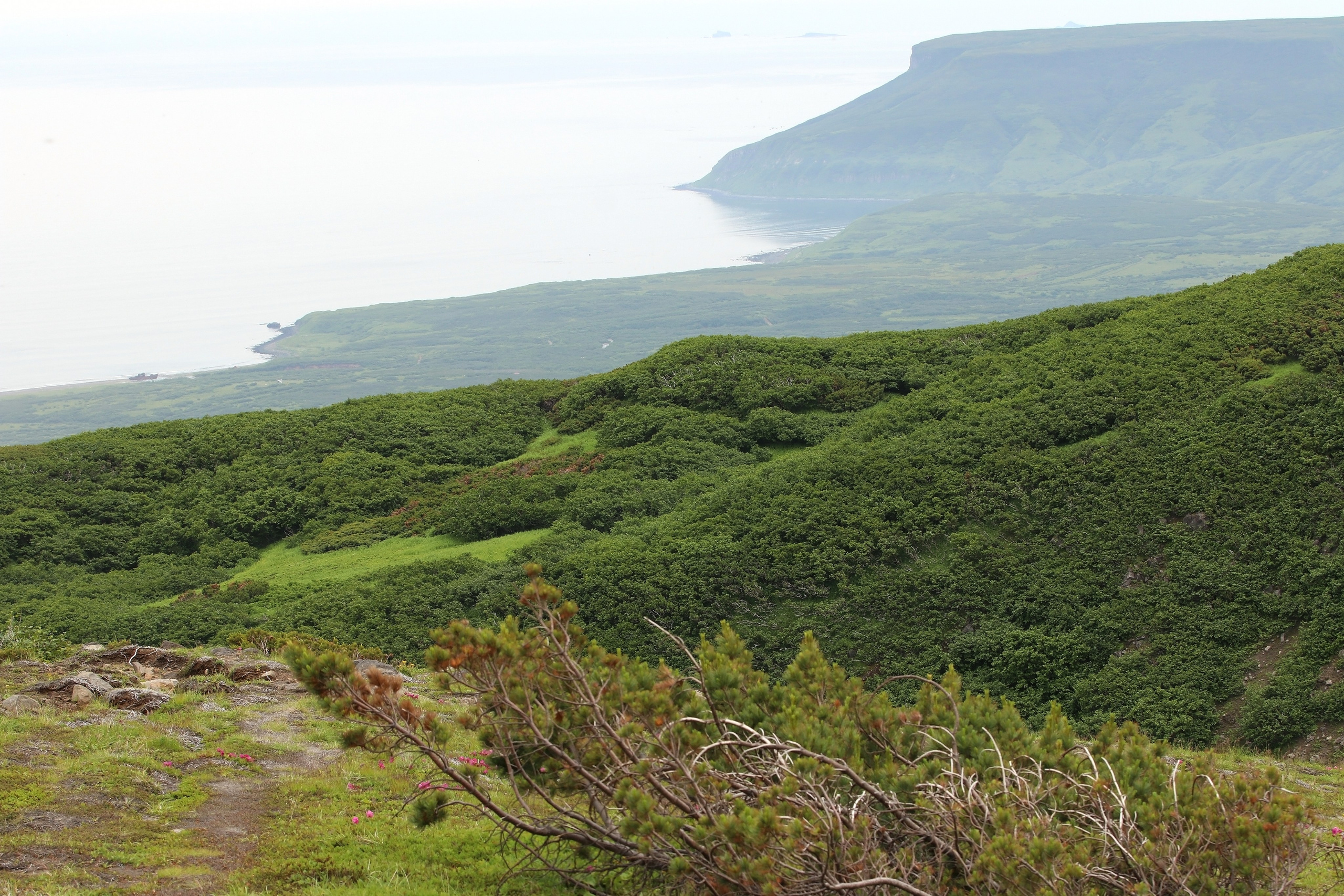 Камчатка и о. Парамушир. Июль 2024. Путешественник-фотограф из Санкт-Петербурга Татьяна Свистулина