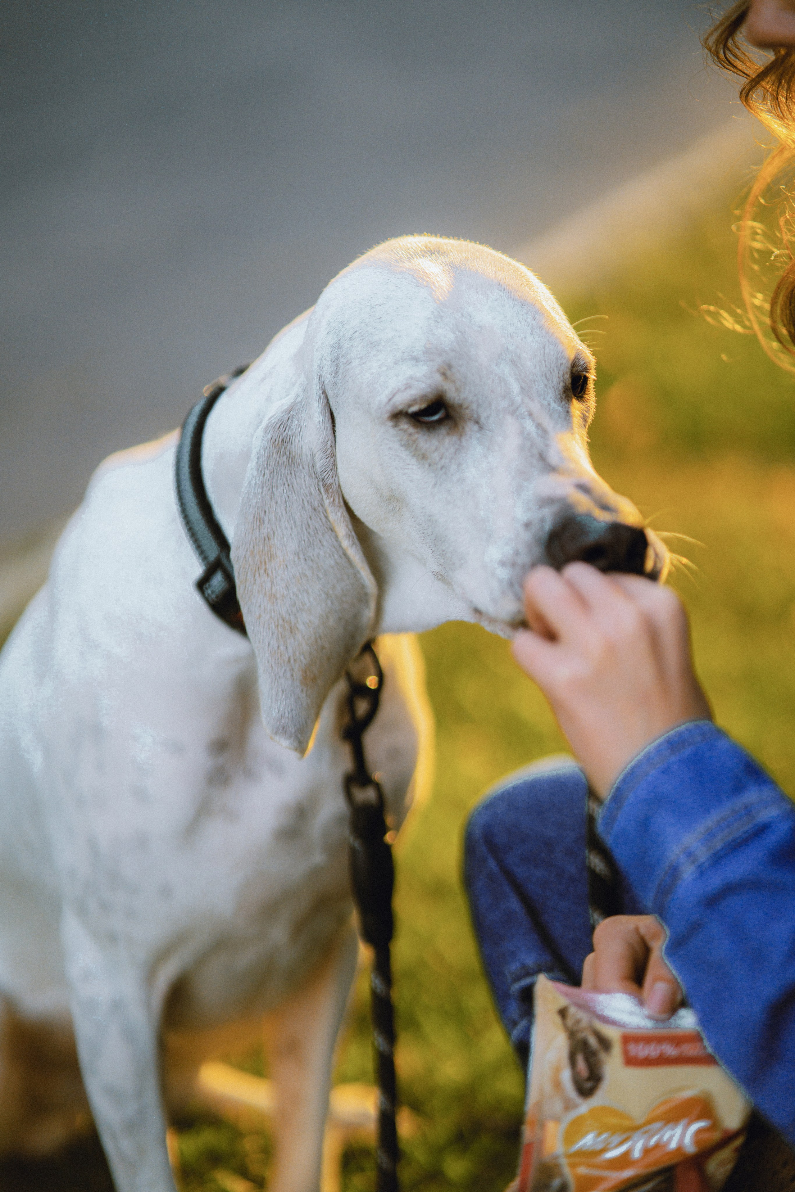 Настя и Бруно. Фотограф Екатерина Катунова | Москва