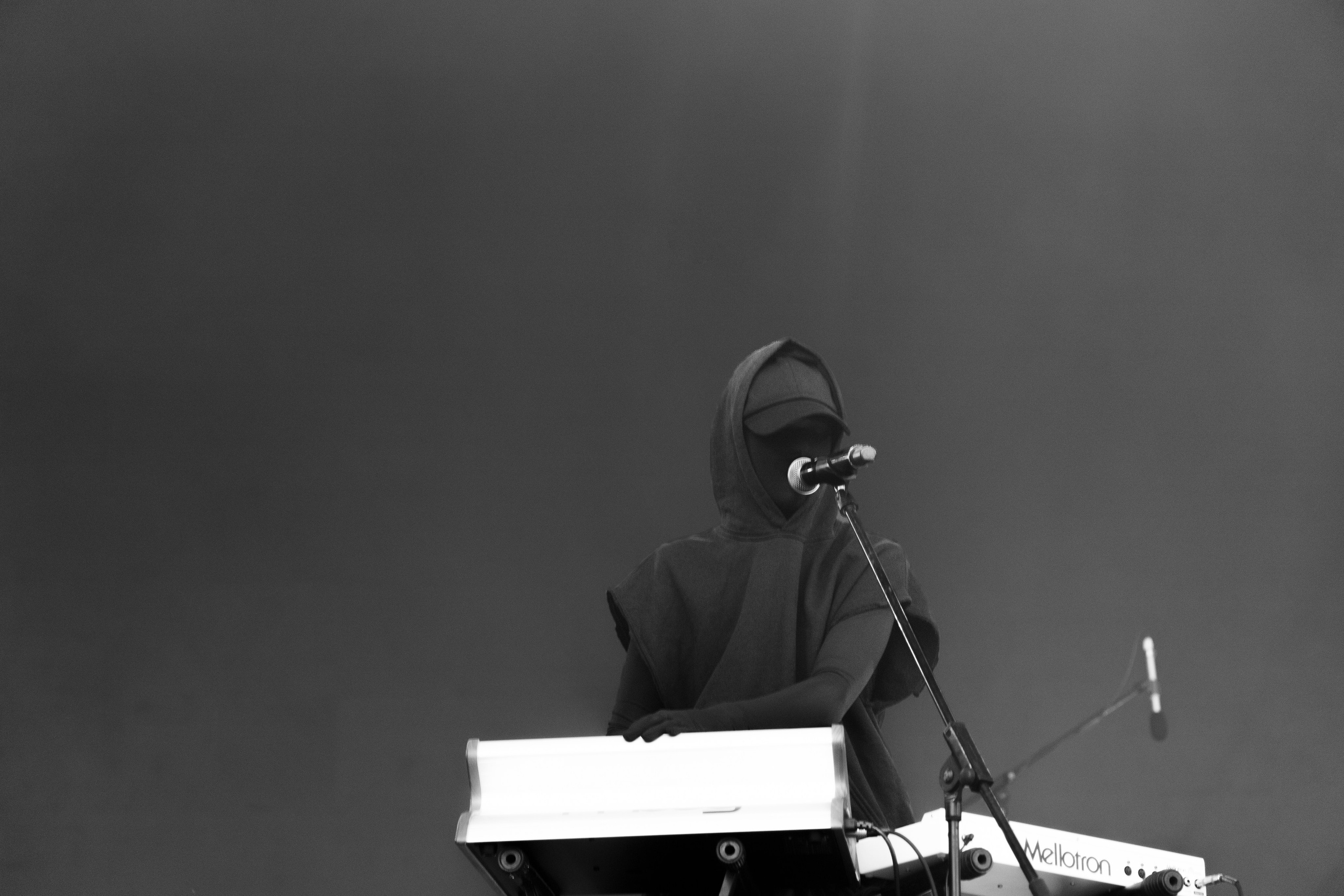 Хаски. Стереолето’24. RUSLAN ROZANOV