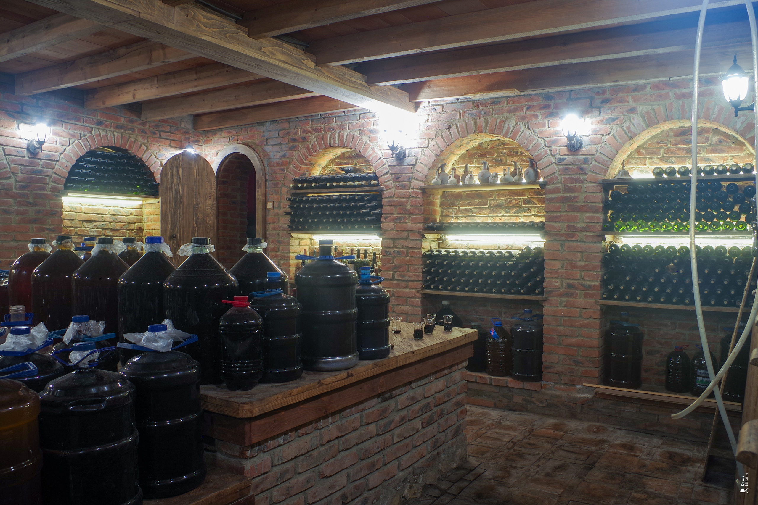 Хони. Портретный фотограф Денис Милютин