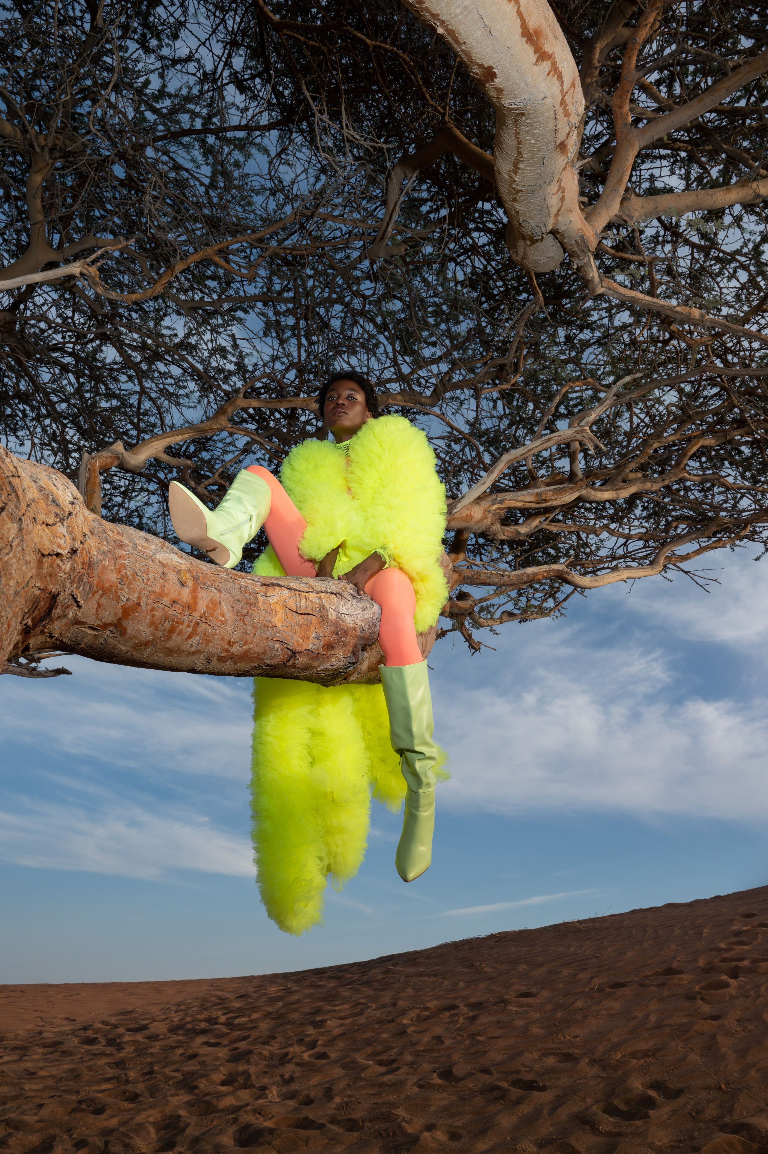 Fairy bird. Коммерческий фотограф Москва /Дубай, эксклюзивные фэшн фотосессии