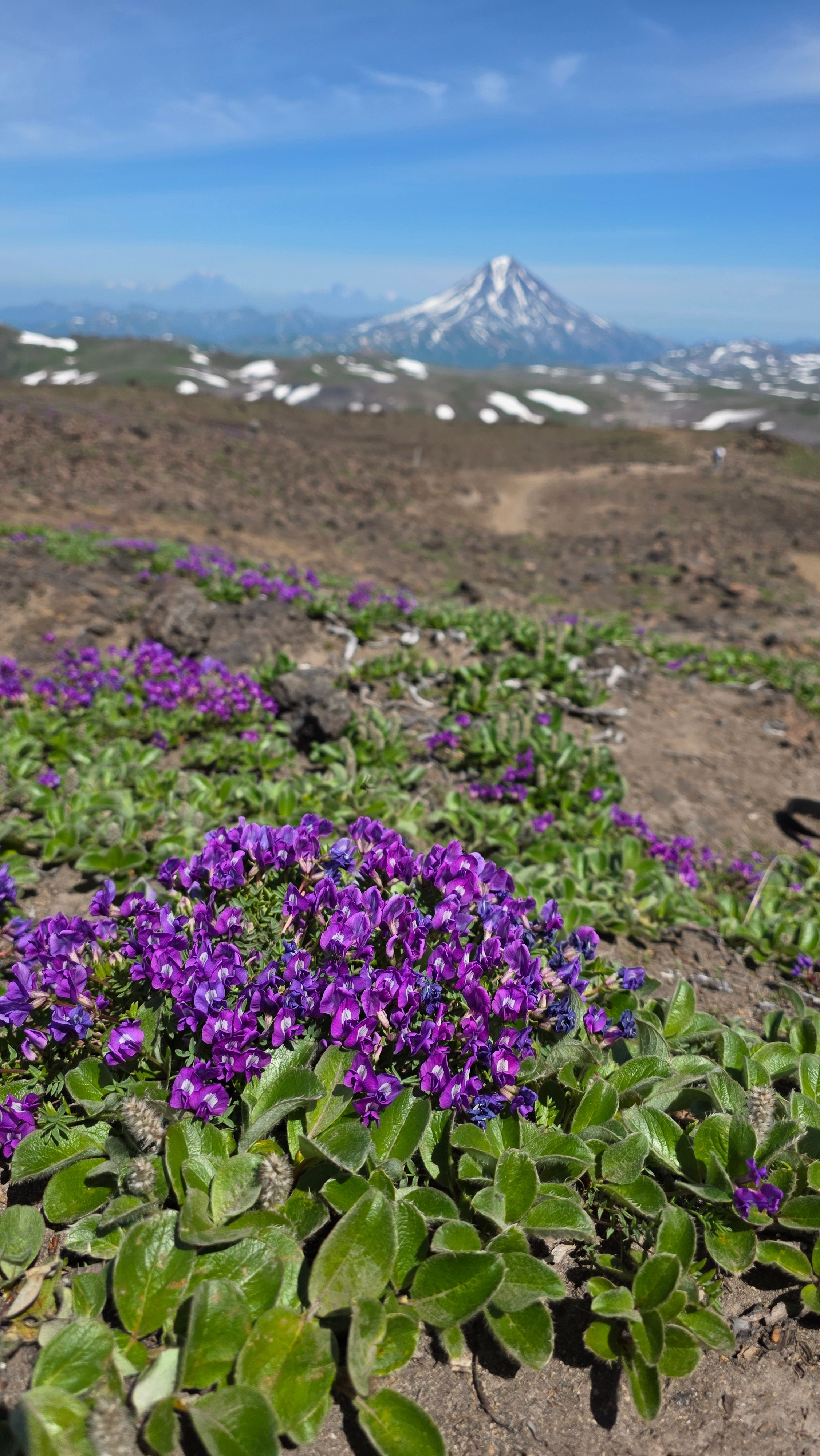 Подробнее о каждой экскурсии. Экскурсионные туры по Камчатке