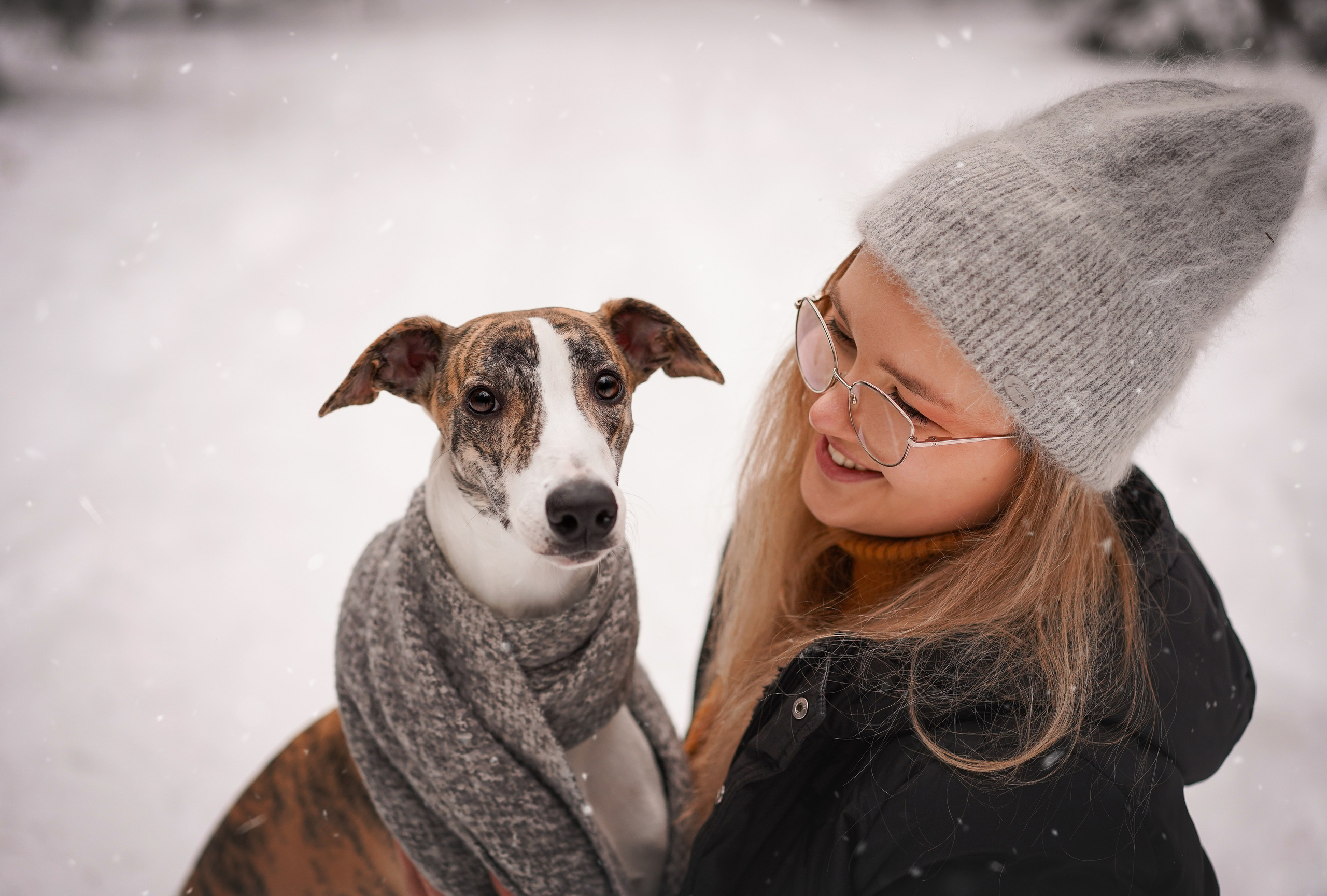 Даша Илья Вениамина и Мэдиссон. Фотограф-анималист в Санкт-Петербурге Яна Мартынова