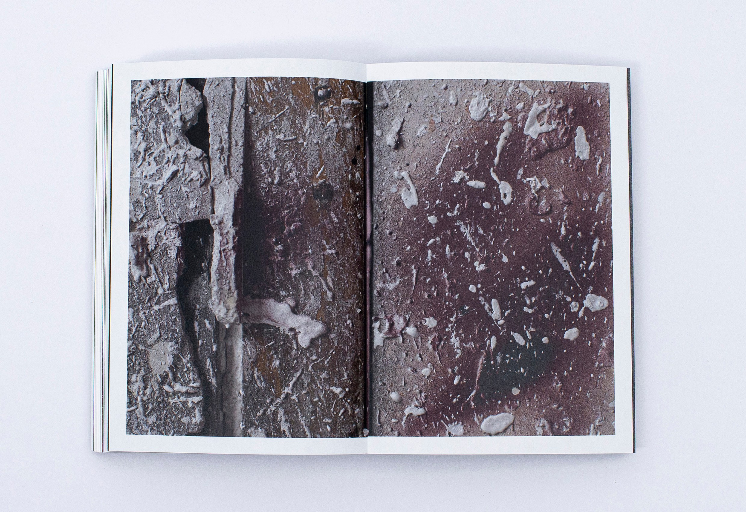 Книга. Фотограф в Москве Алейникова Евгения