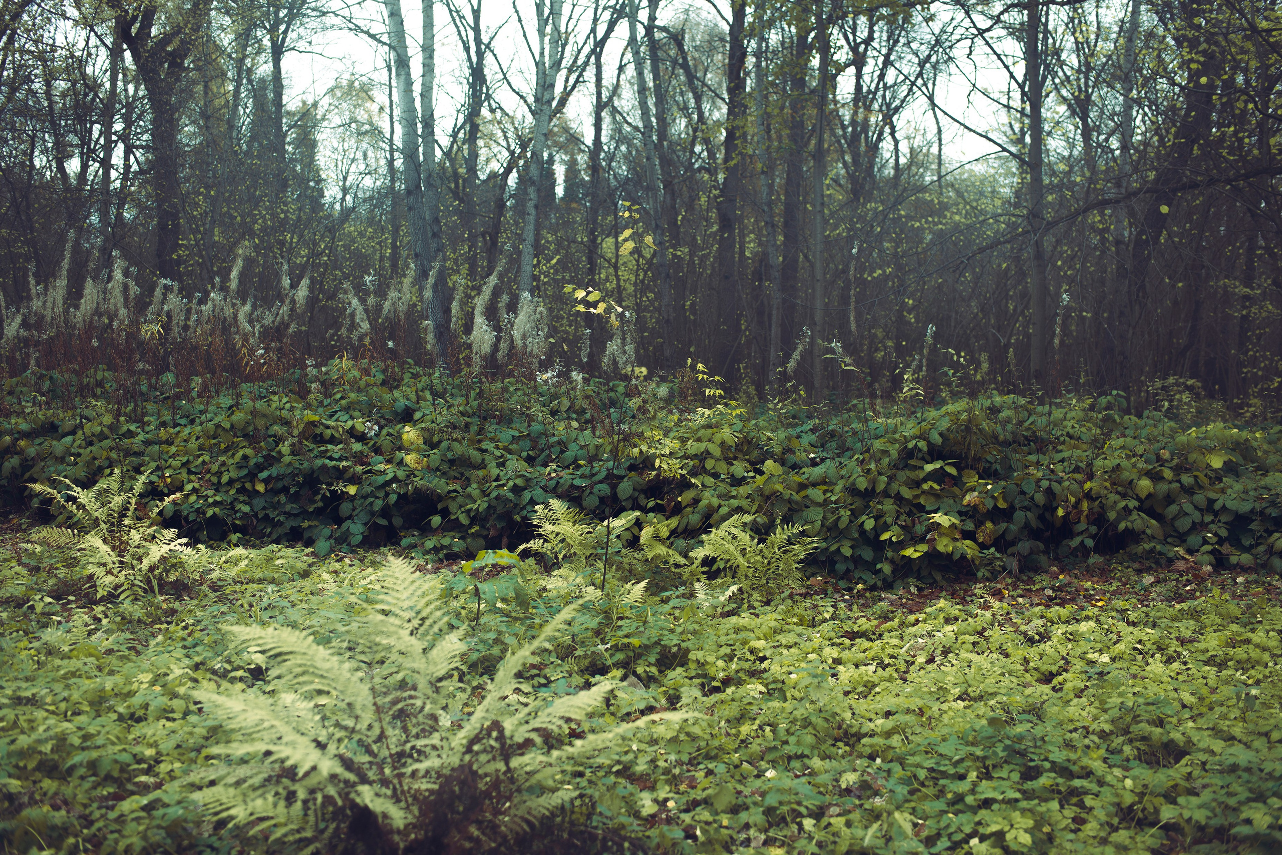 Being (study progect). Фотограф в Москве Алейникова Евгения