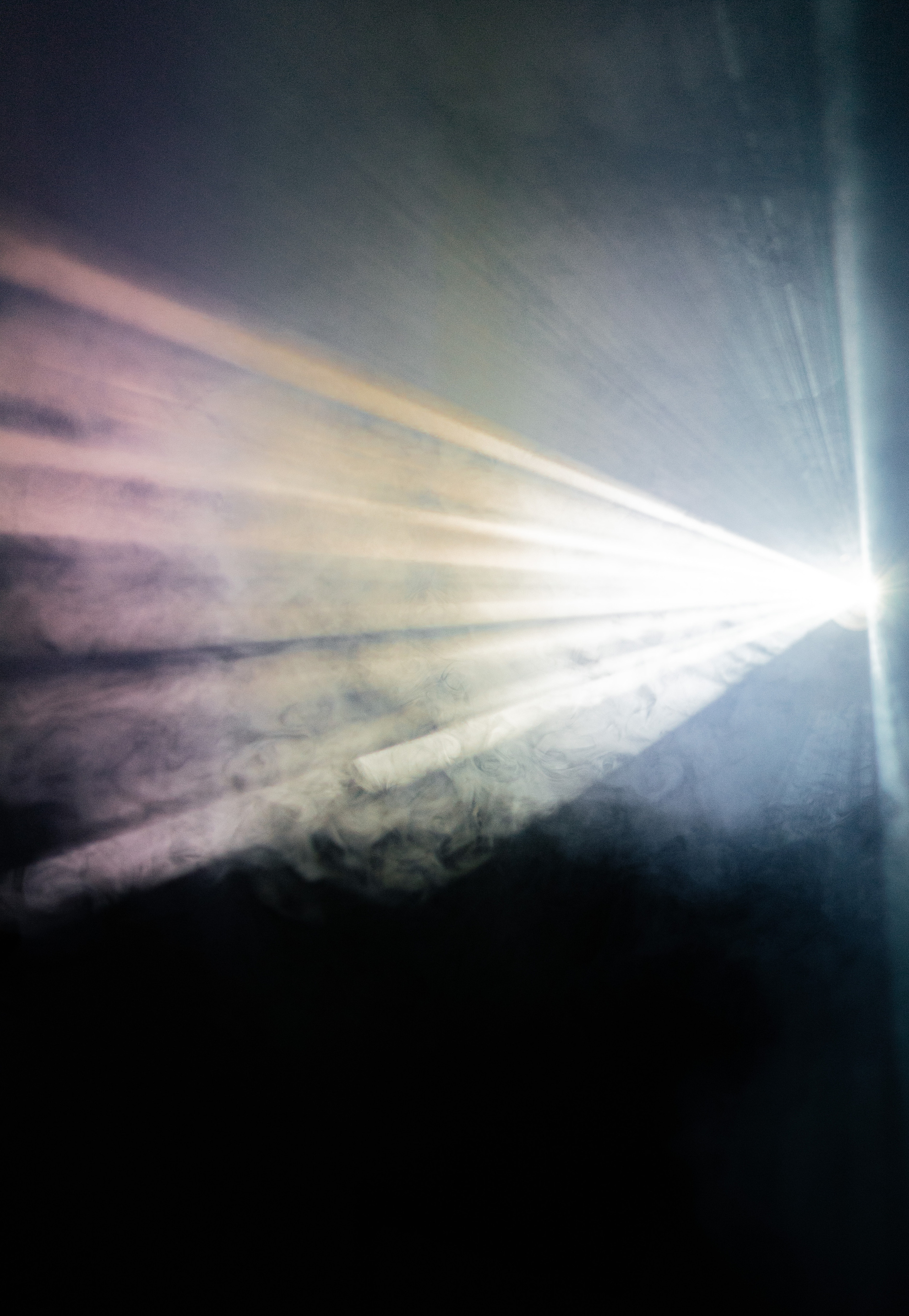 Алена. Елена Чернега свадебный и коммерческий фотограф