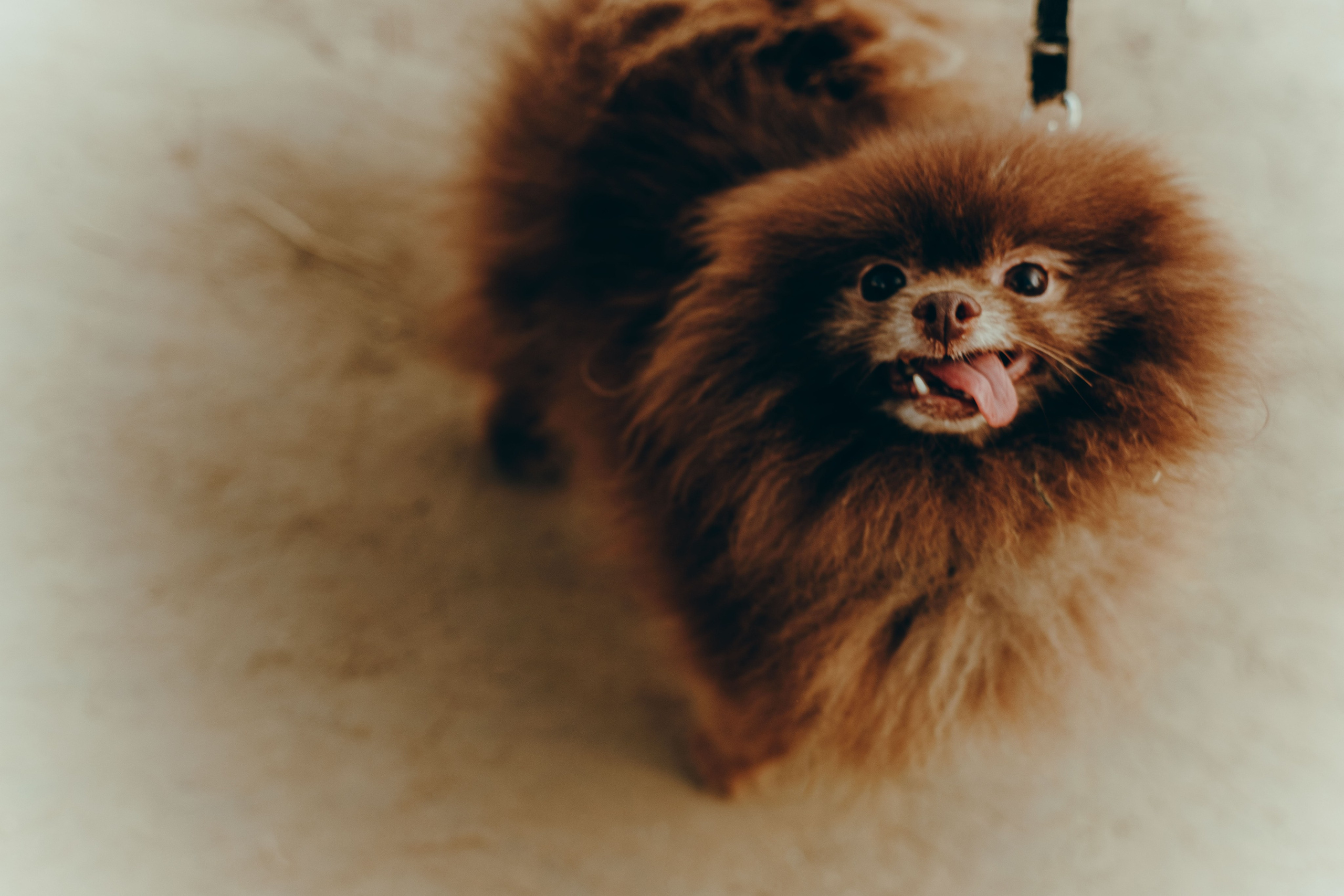 Бессонница 2025. Фотограф Аннё| Москва