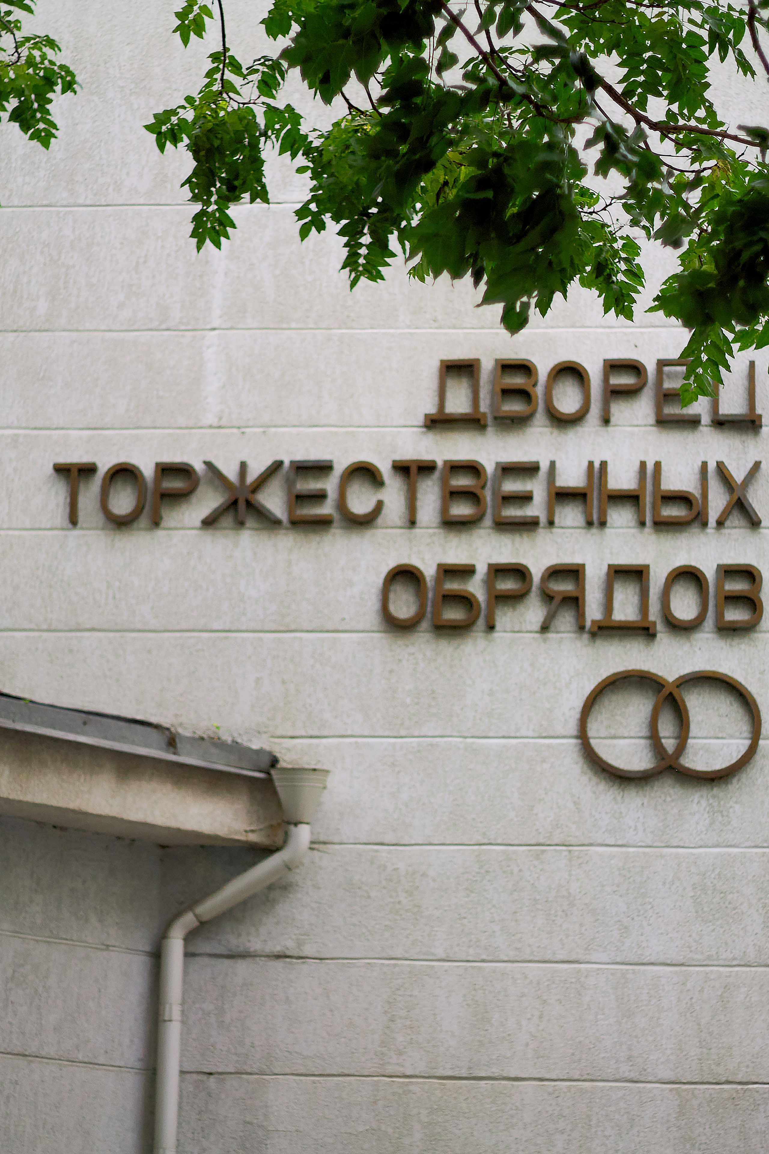 Сергей и Маргарита. Чумаков Алексей Фотограф|Видеограф свадебные, индивидуальные, семейные, репортаж