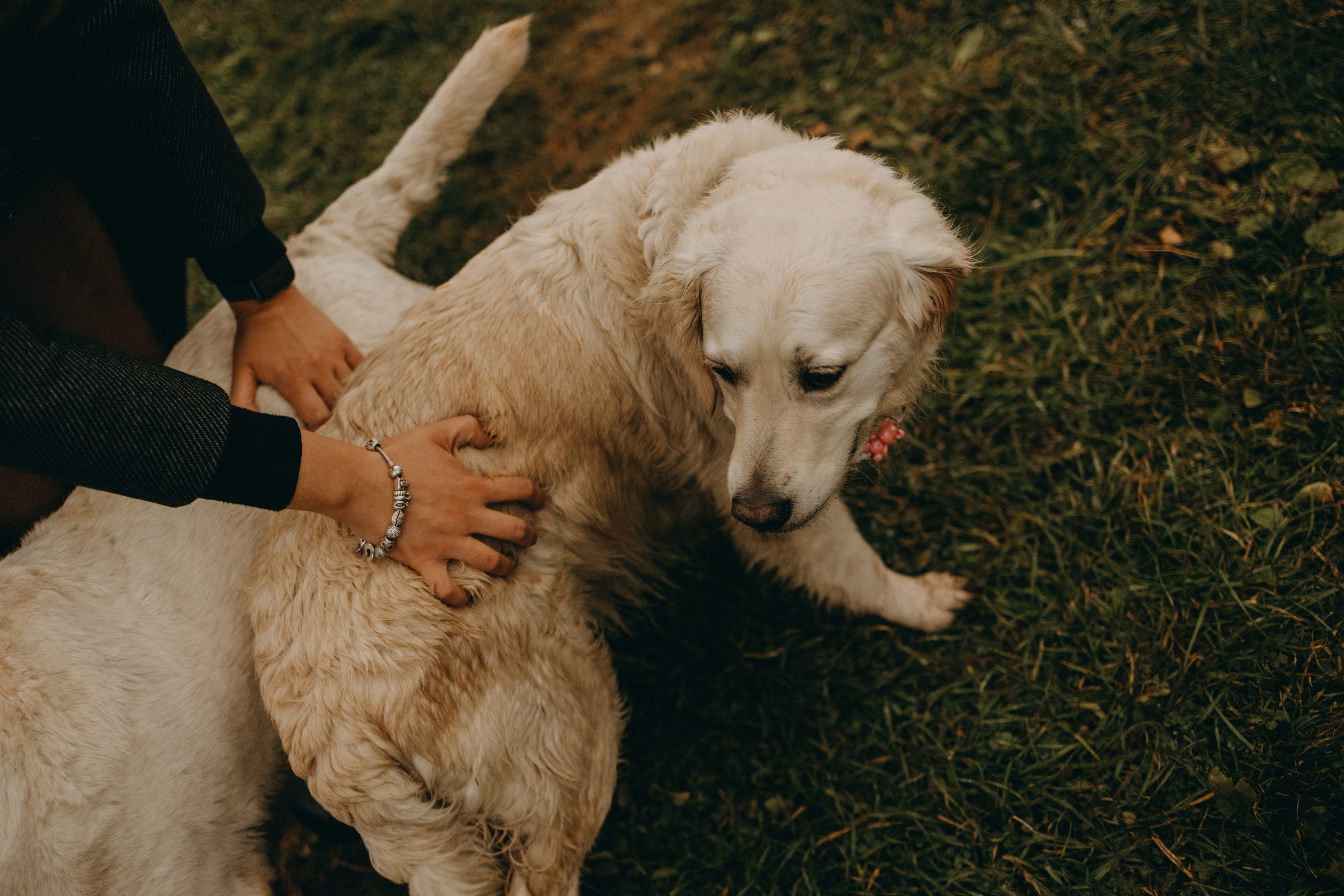Женя и ее девочки. Фотограф — Анималист | Санкт-Петербург