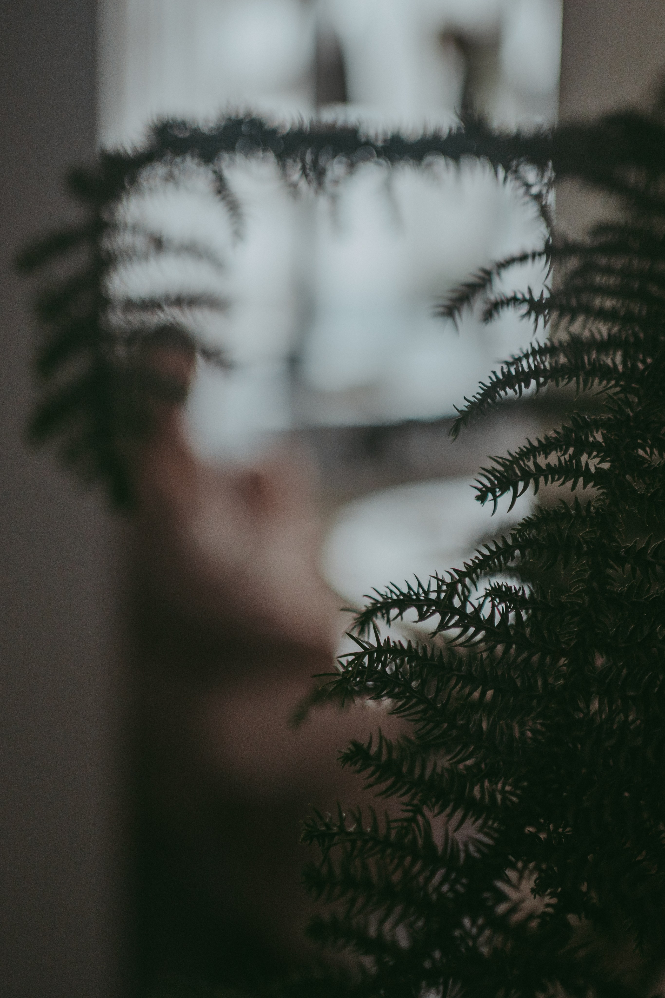 Катя и Никита. Семейный фотограф в Москве и Подмосковье Иванова Нина