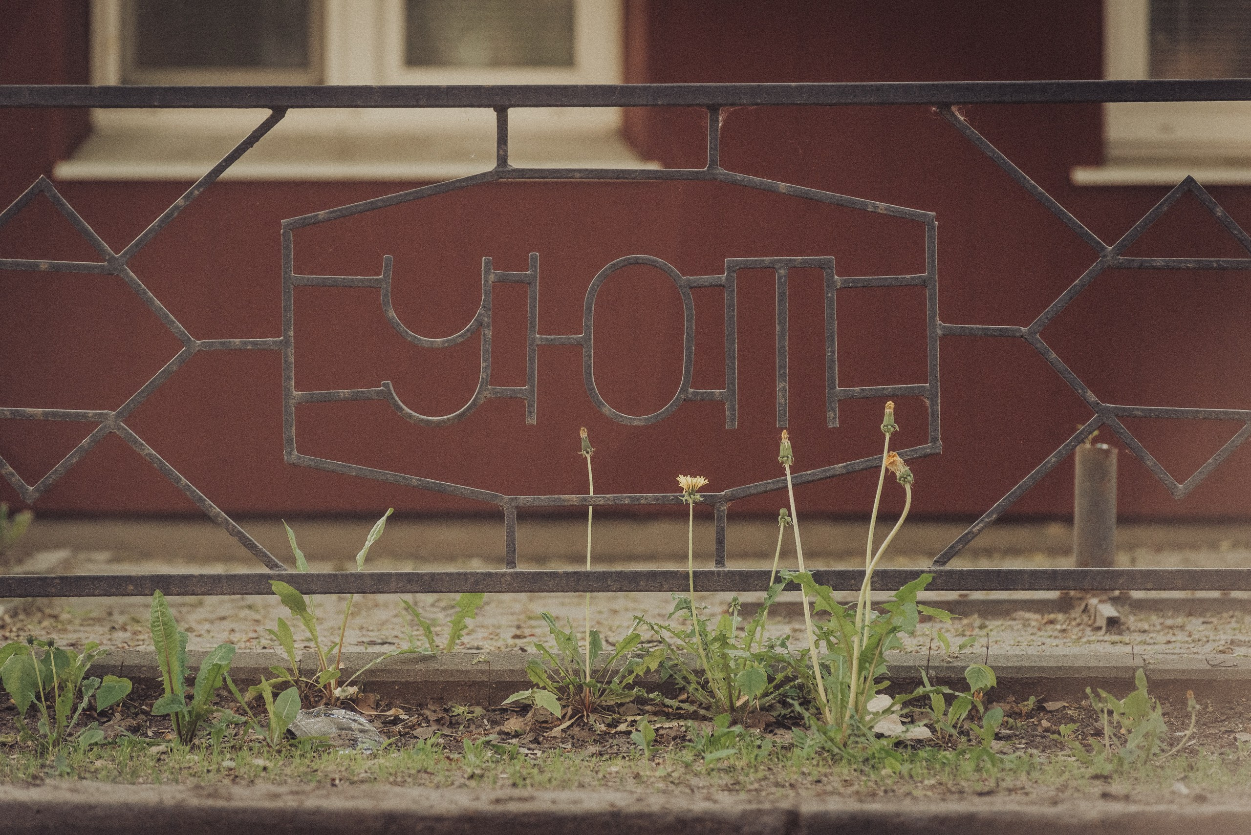 Проект #улицыгорода. Ярославль, ул. Лисицина. Документальный фотограф Илья Тихановский