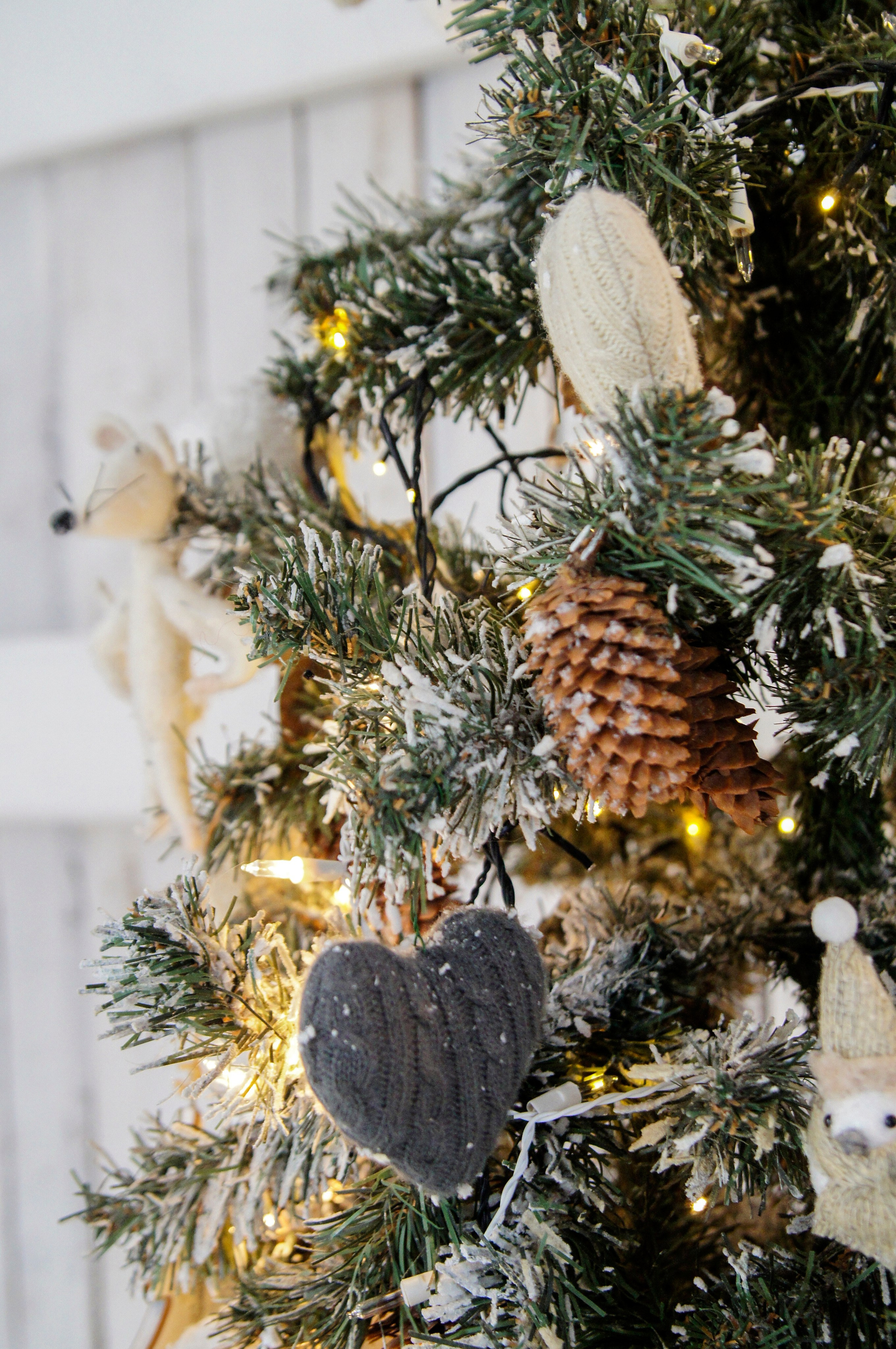 Новогодние радости. APPHOTOGRAPHY | Фотохудожник Анна Камчатная