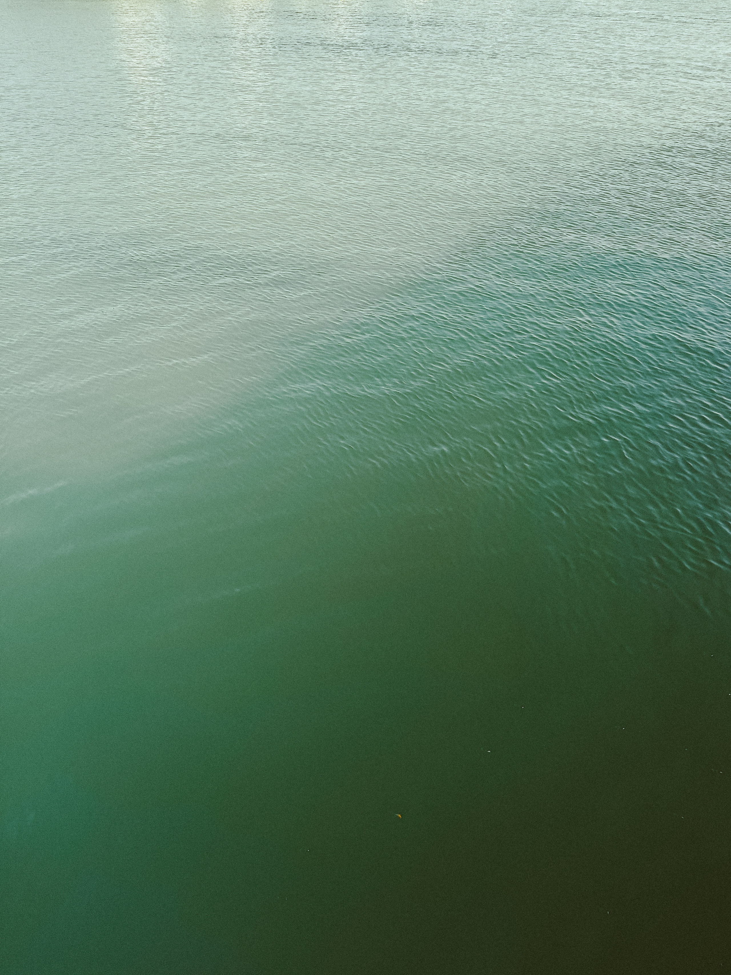 Мобильная. Jorgis — фотограф в Хургаде / обучение фотографии