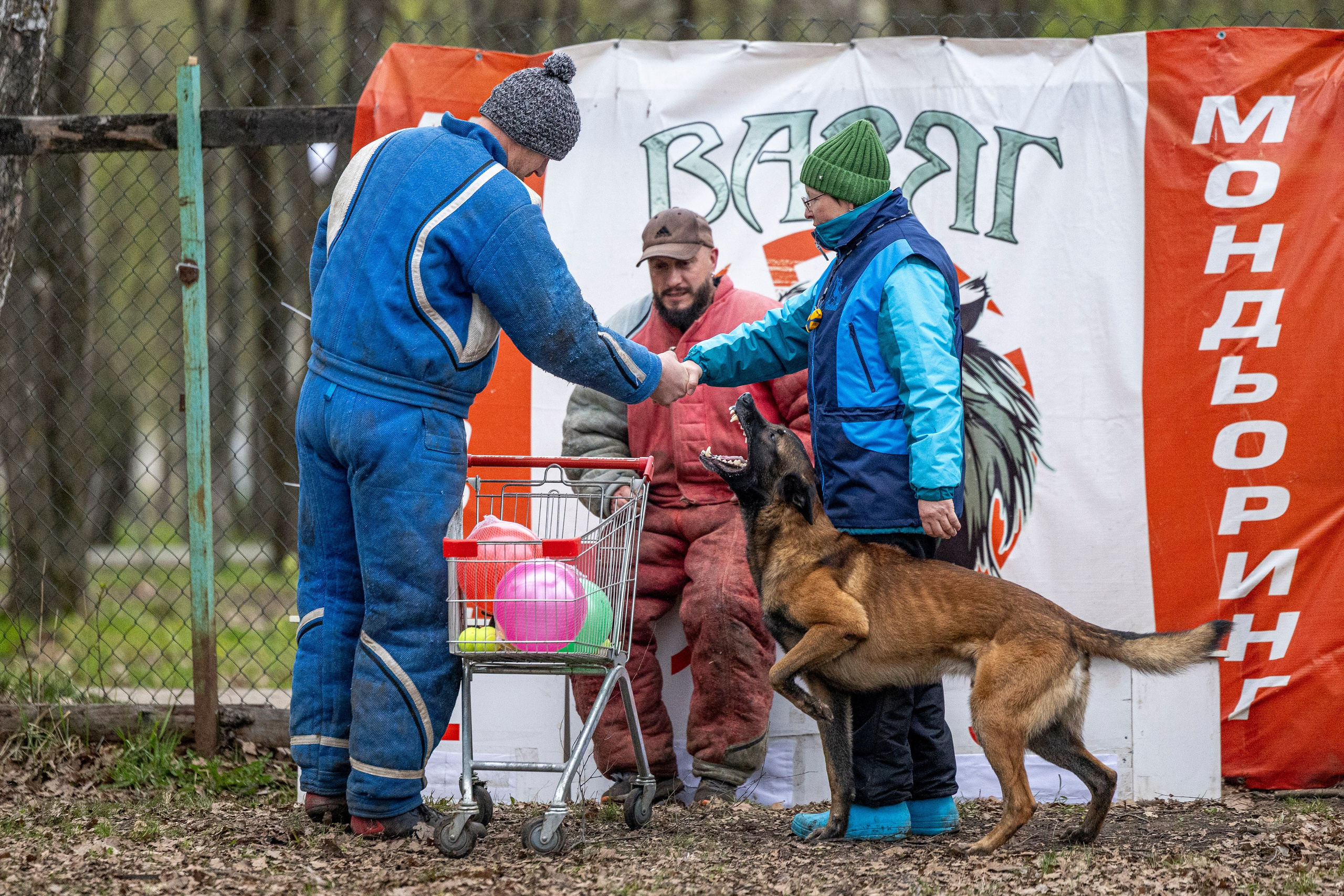 Квалификационные состязания по мондьорингу г. Вологда 11.05.24. Фотограф-анималист Анна Маринич
