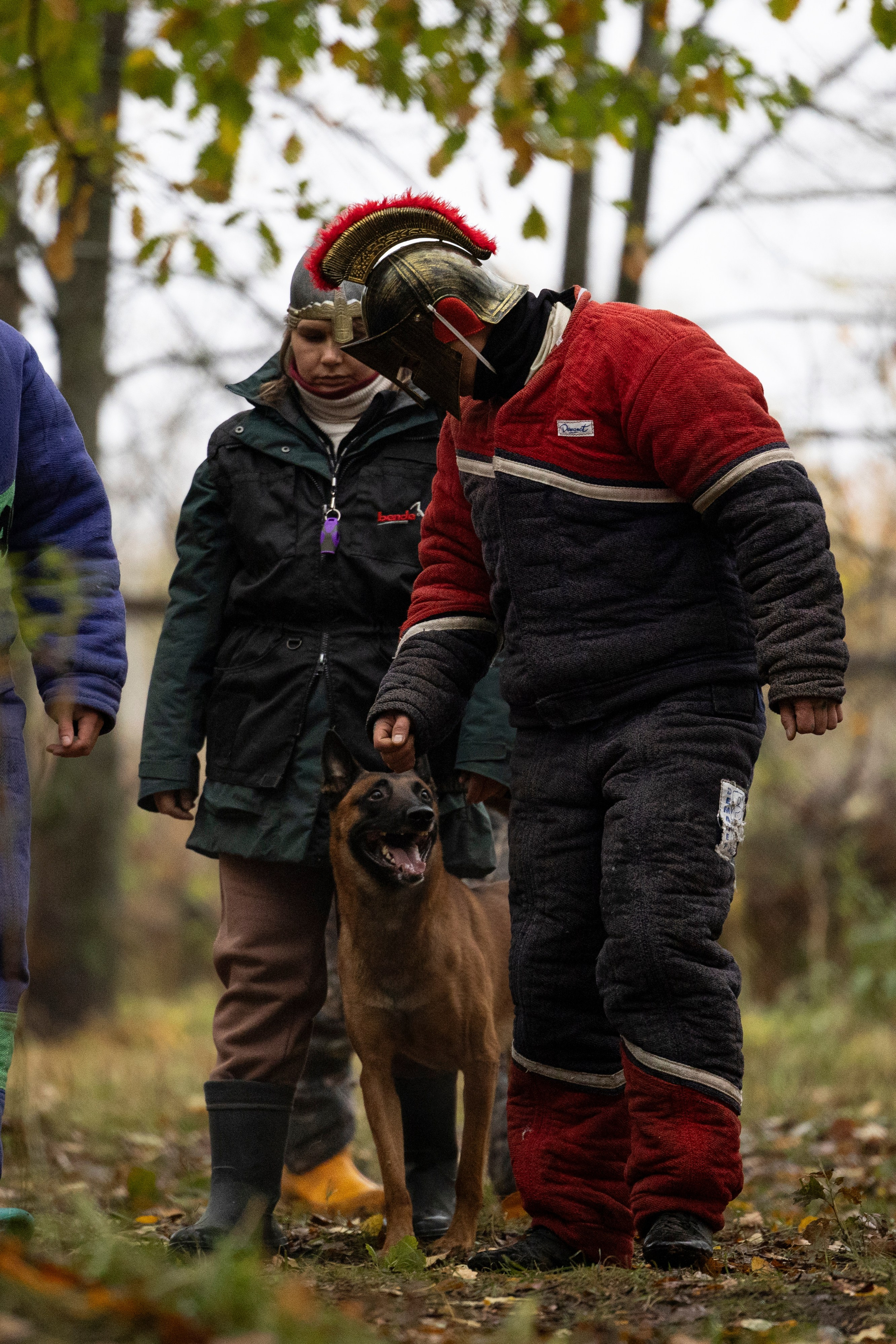 Соревнования по Мондьорингу г. Вологда. Фотограф-анималист Анна Маринич