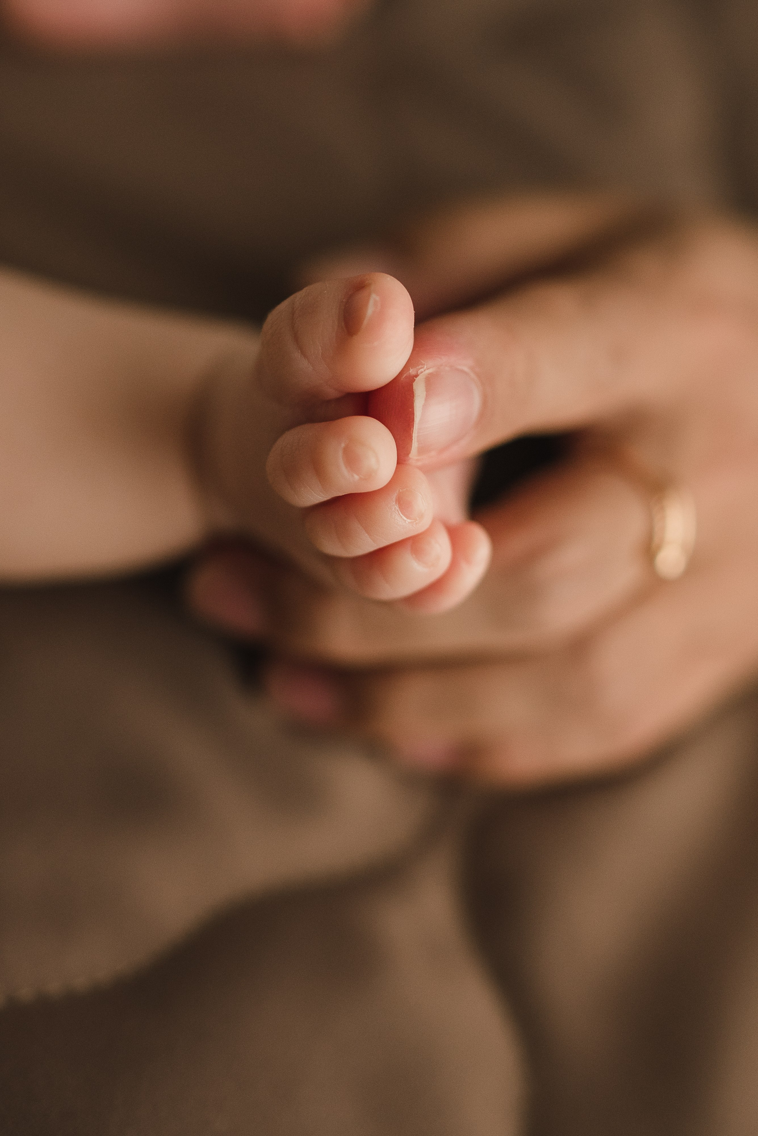 Мия. Фотограф в Москве новорожденные свадьбы семьи Дарья Ларионова