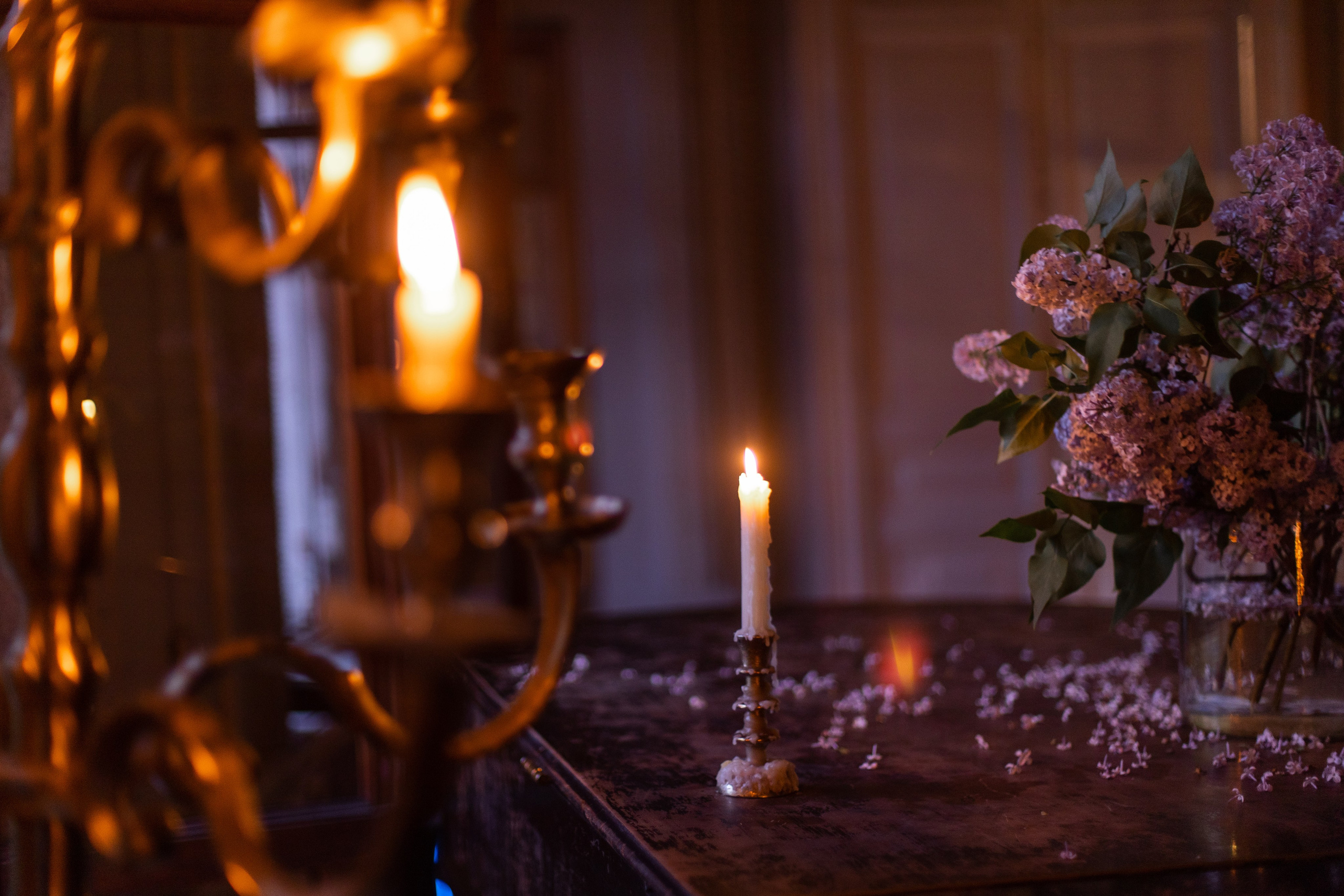 Кинопоказ в особняке. Фотограф в Москве Десятова Ксения