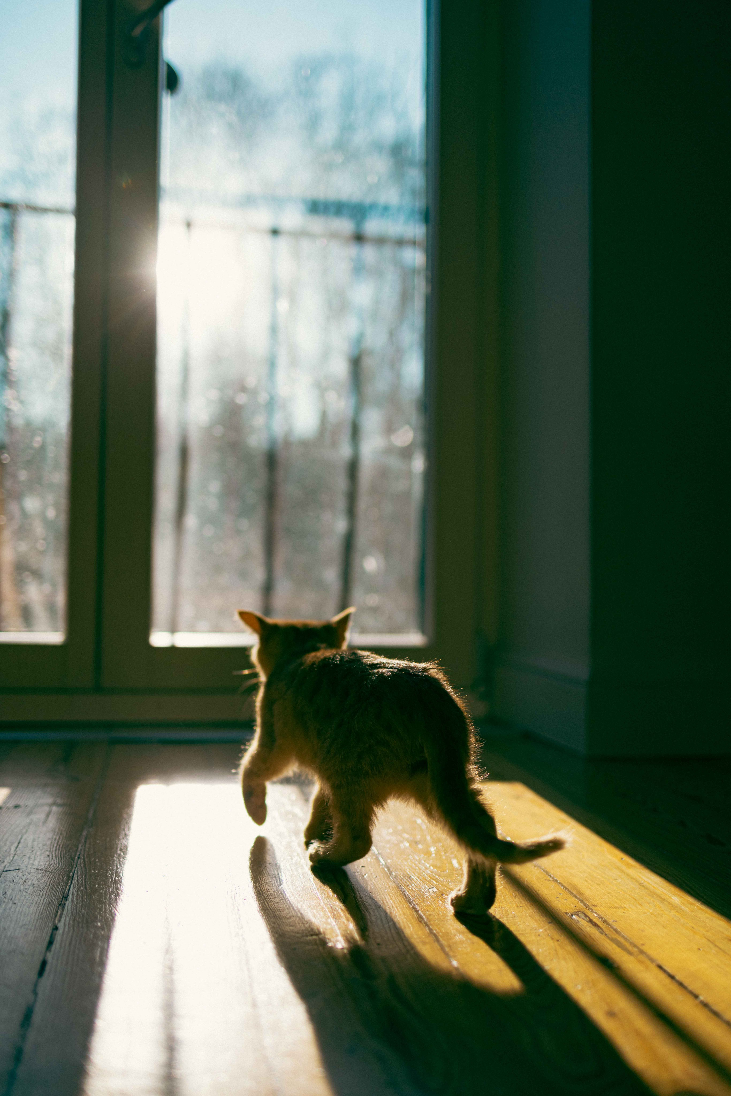 Кускус. Фотограф-анималист в Москве Лера Черноног