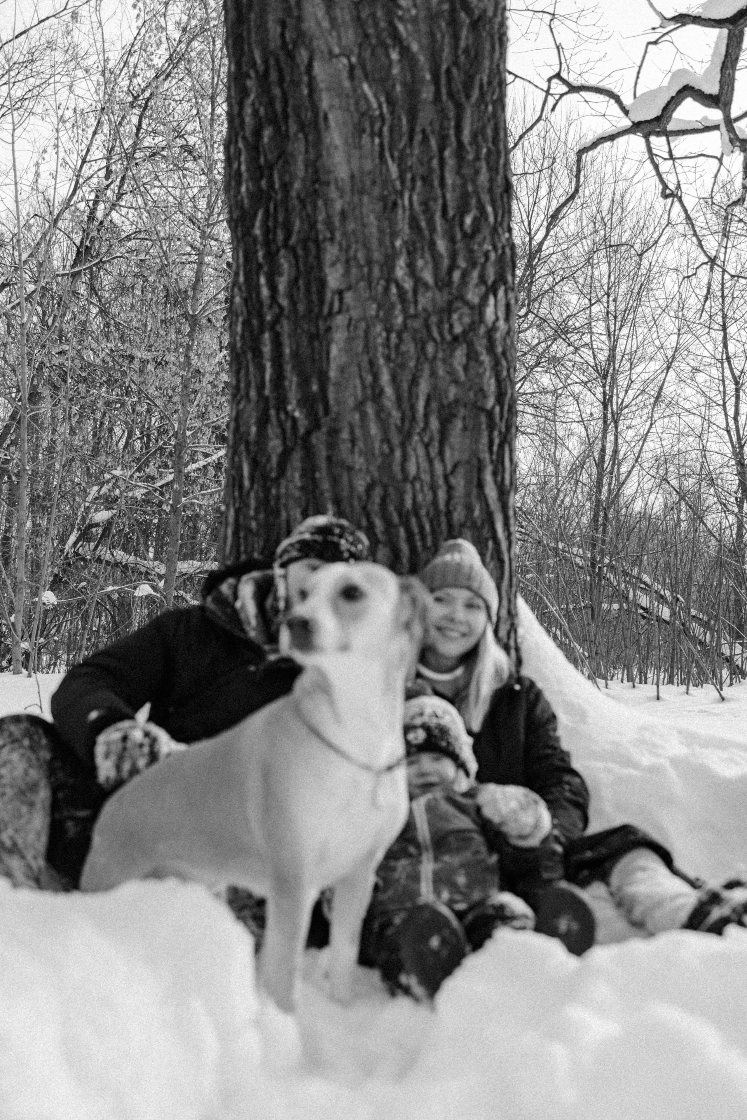 Свобода и ее семья. Фотограф-анималист в Москве Лера Черноног