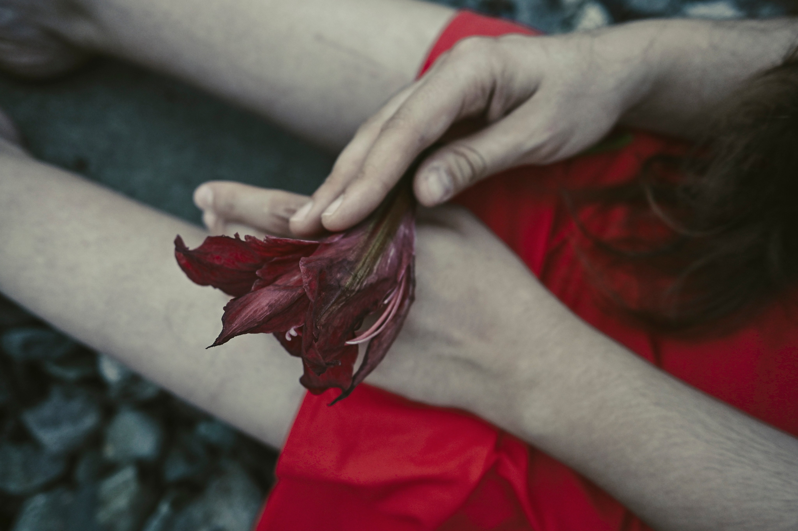 Ещё одна Каренина. Женский фотограф Крещение Венчание Москва Брянск