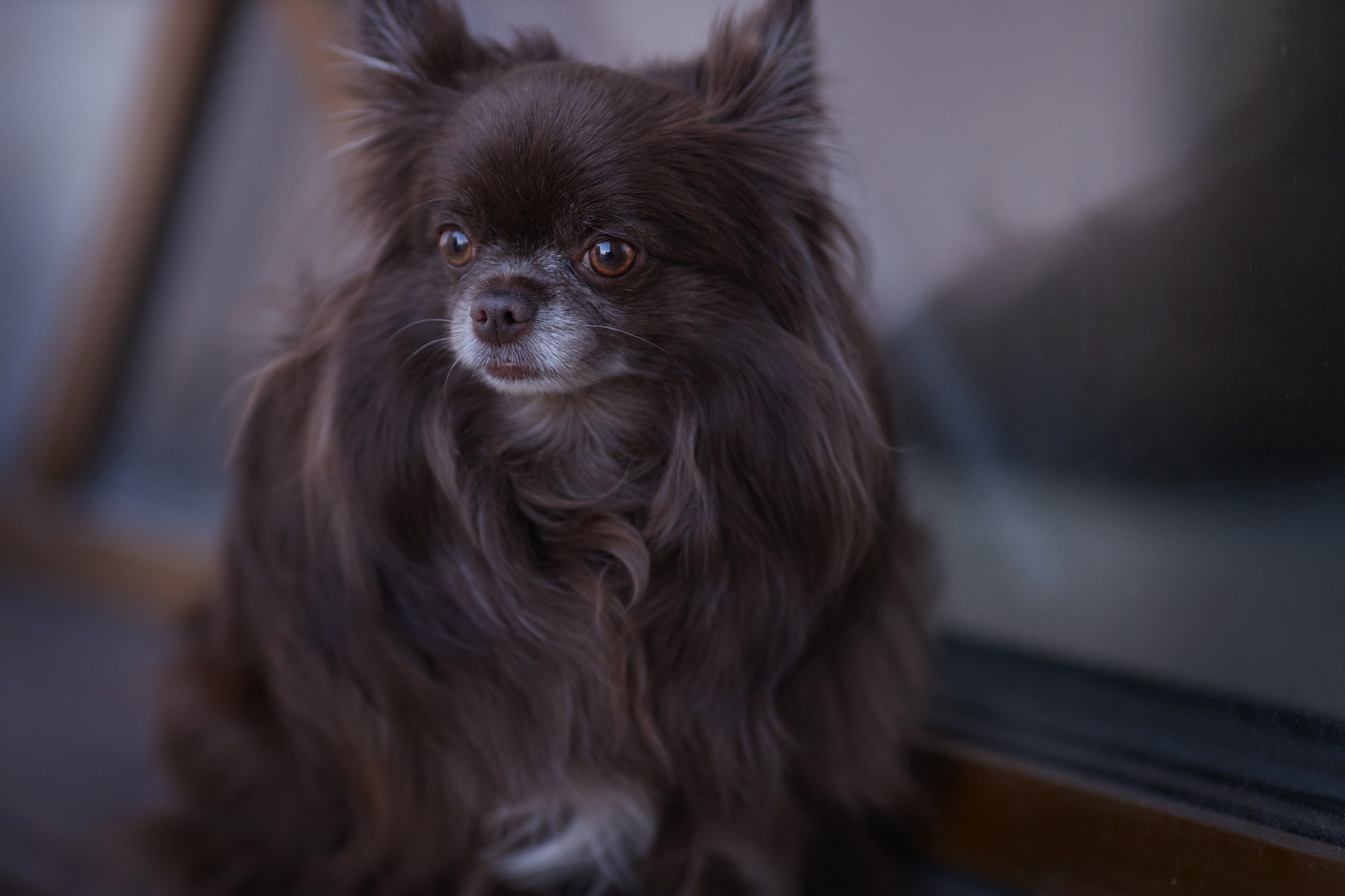 Yuliana Ra | Юлиана Ра