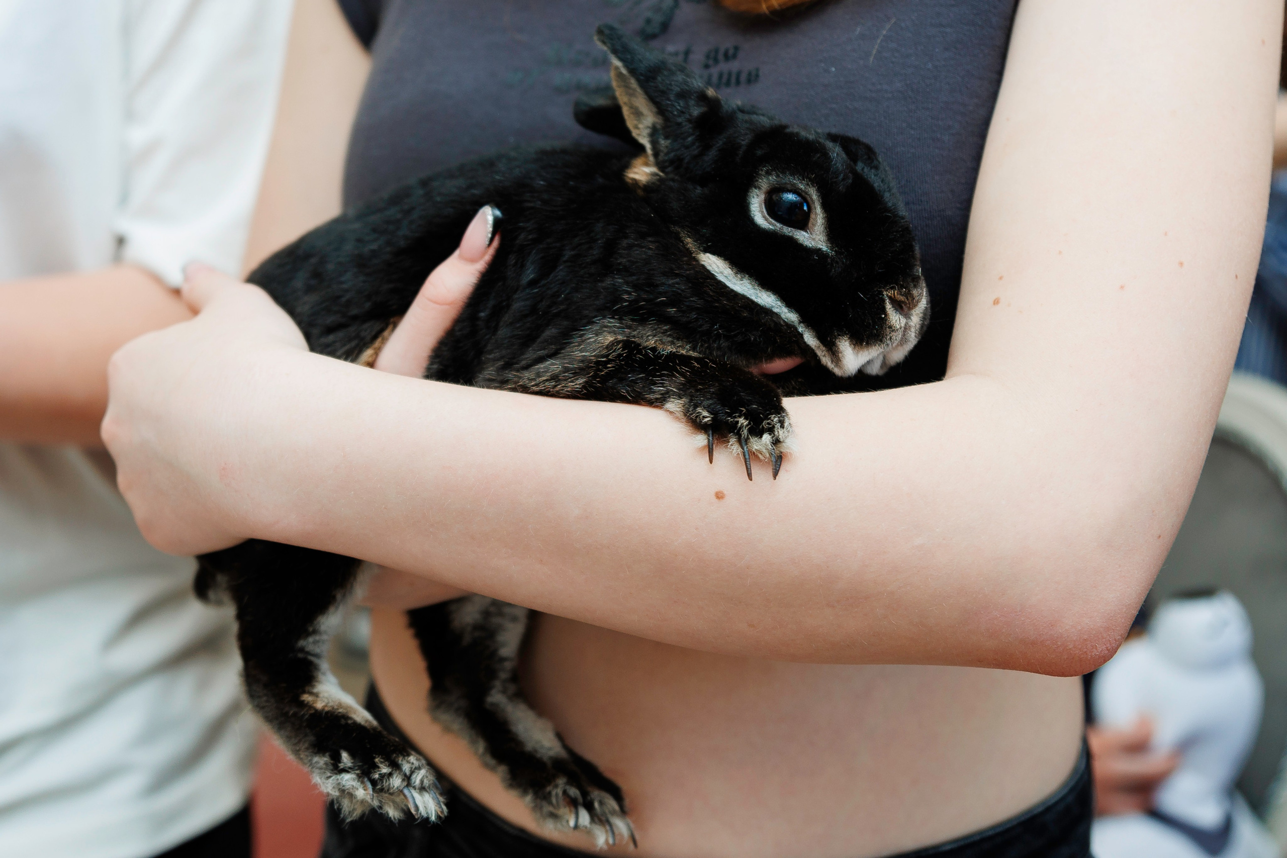 Банкетный репортаж. Главная