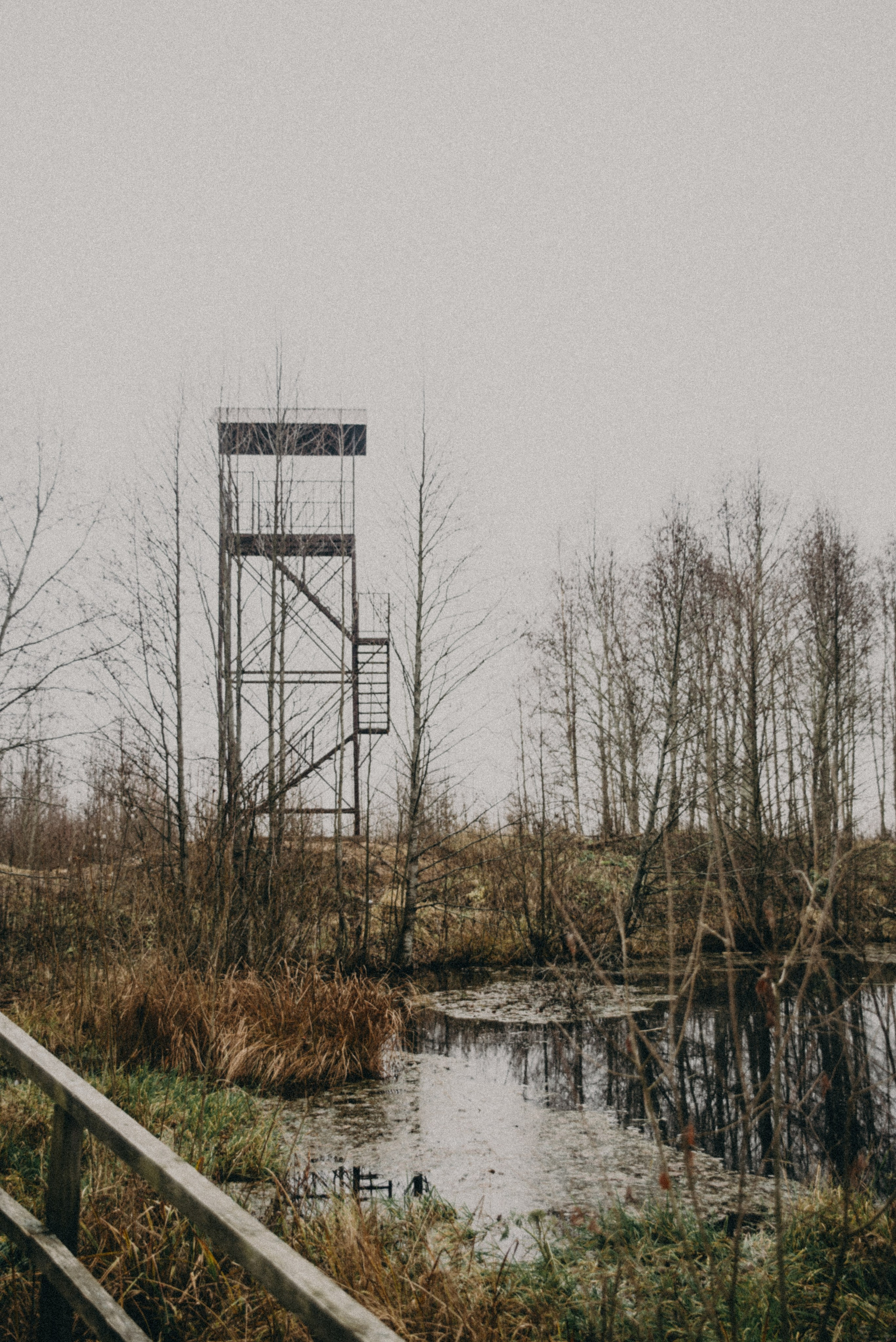 Ельня, Беларусь. Anita_photo