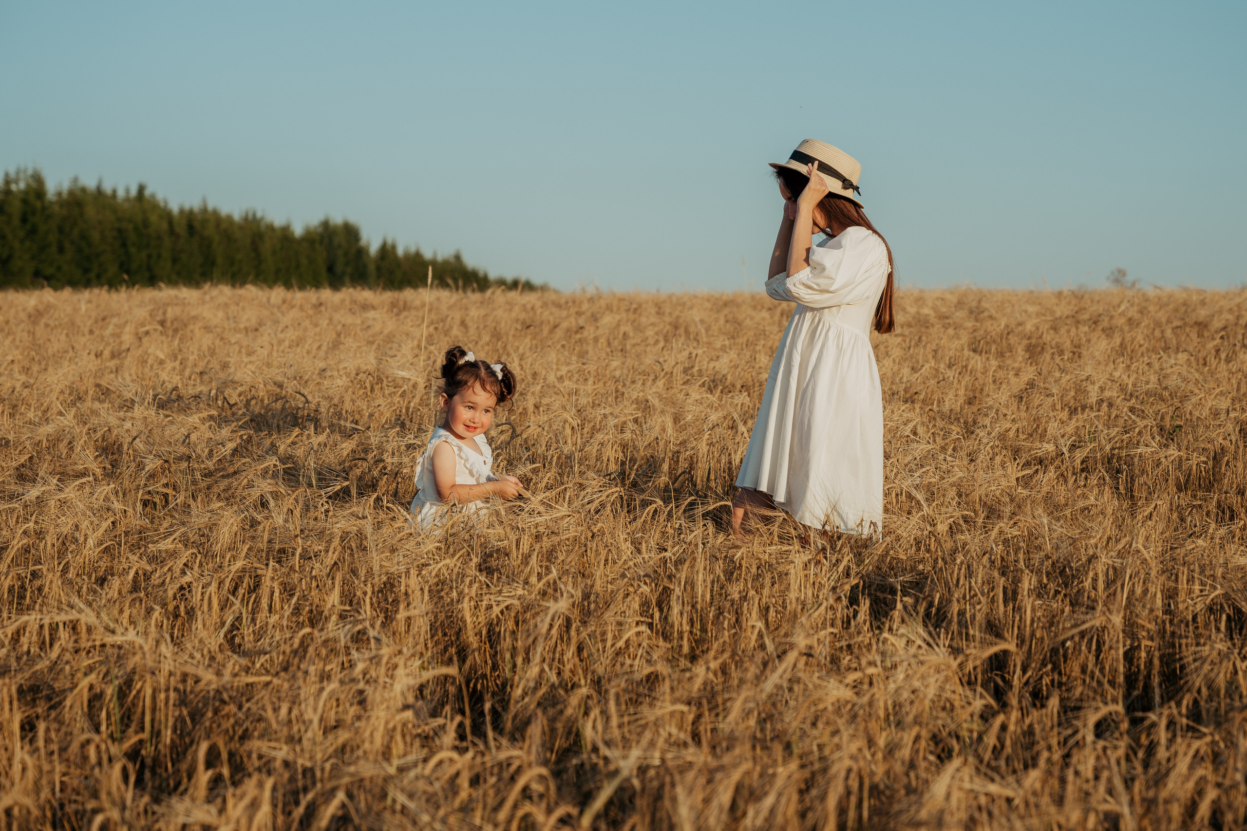 Солнце.Закат.Поле
