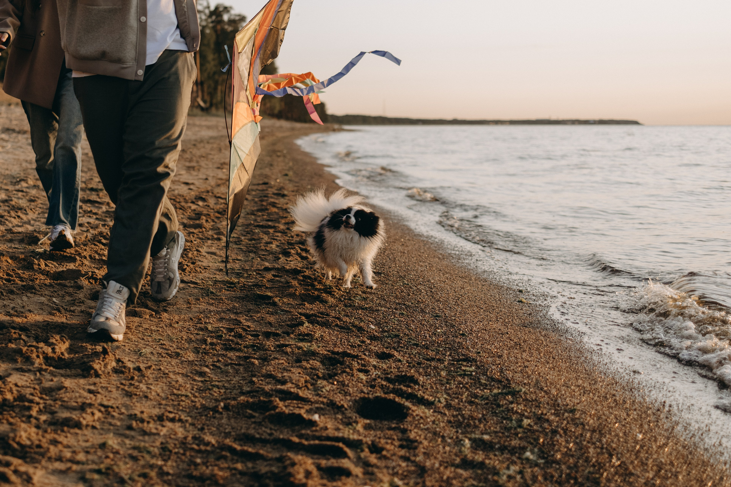 Диана и ее мальчики. Фотограф — Анималист | Санкт-Петербург