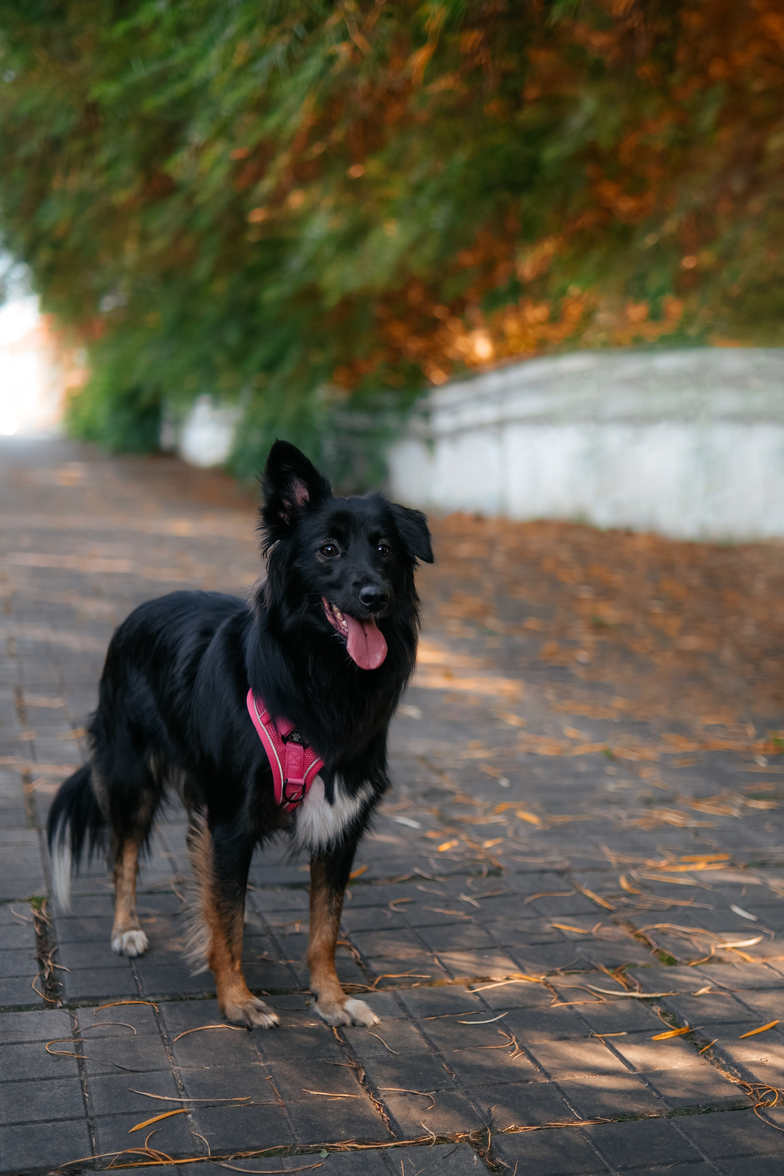Наташа и Юня. Лена Фокина | Фотограф Смоленск
