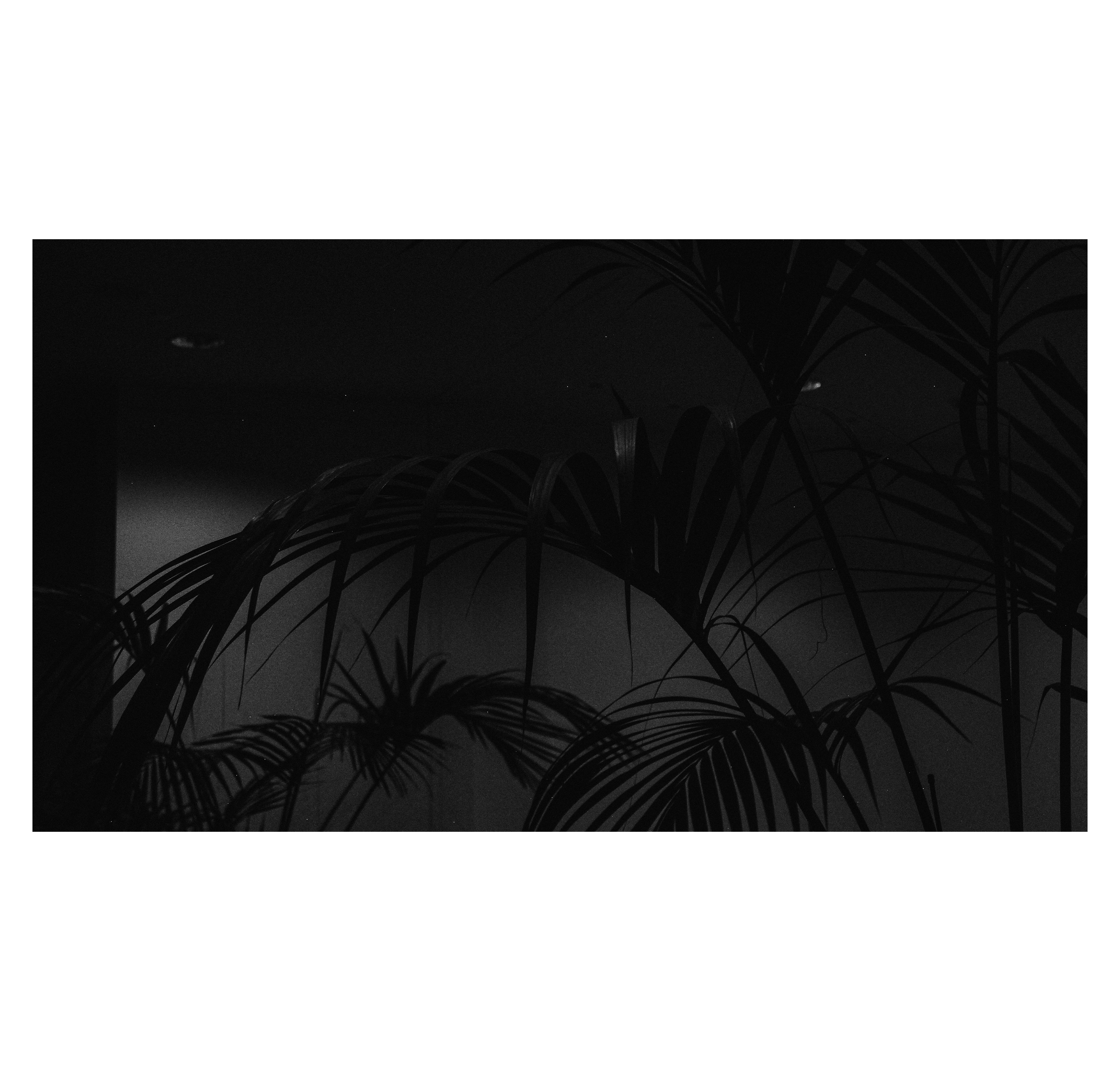 Summertime. Фотограф/дизайнер в Екатеринбурге Хитрый Дмитрий