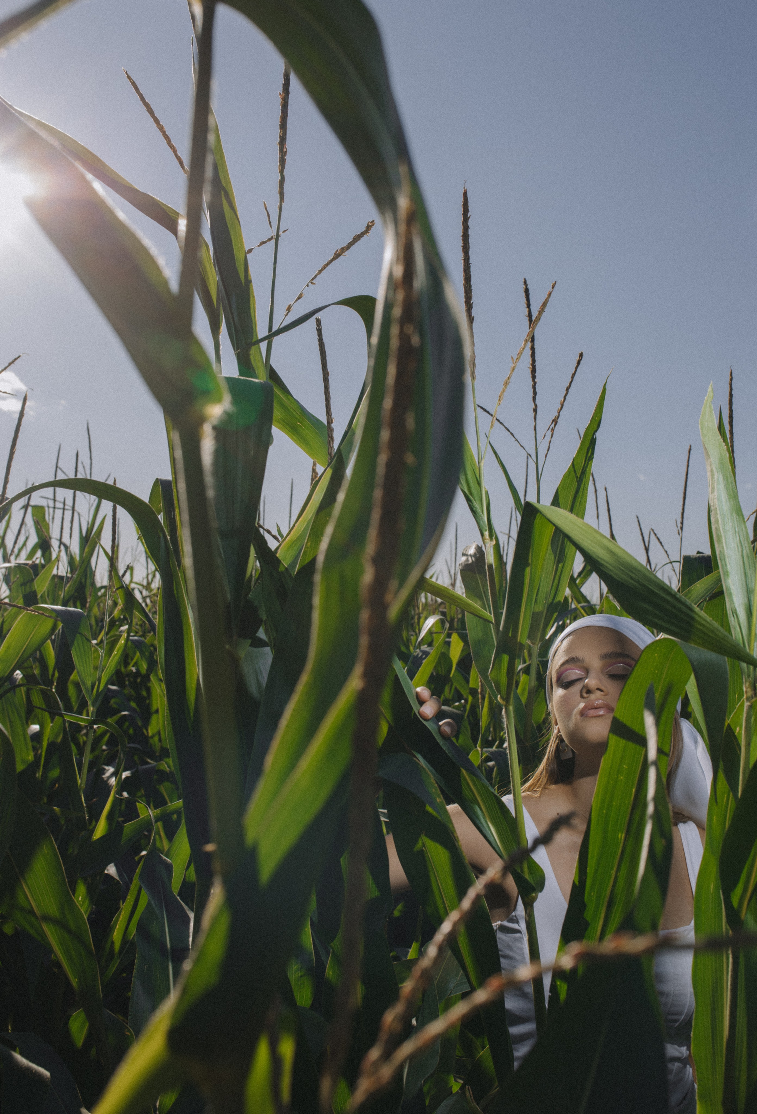 Любовь нашла в кукурузе