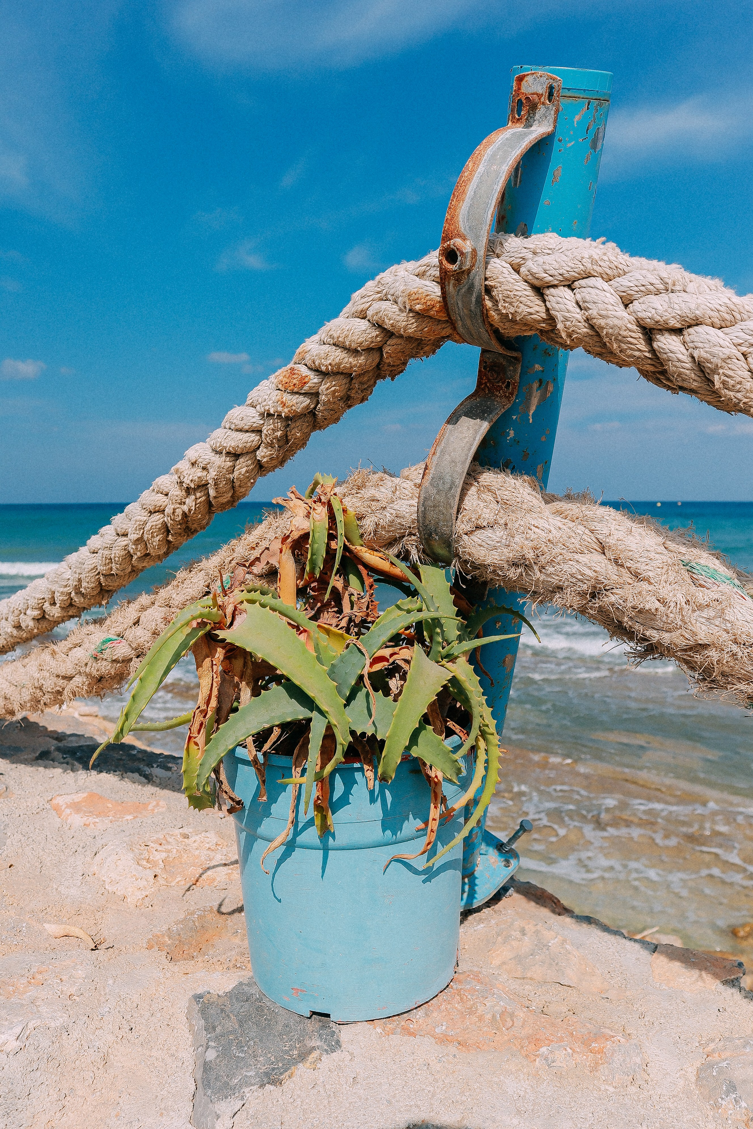 Крит. Аня Степанова