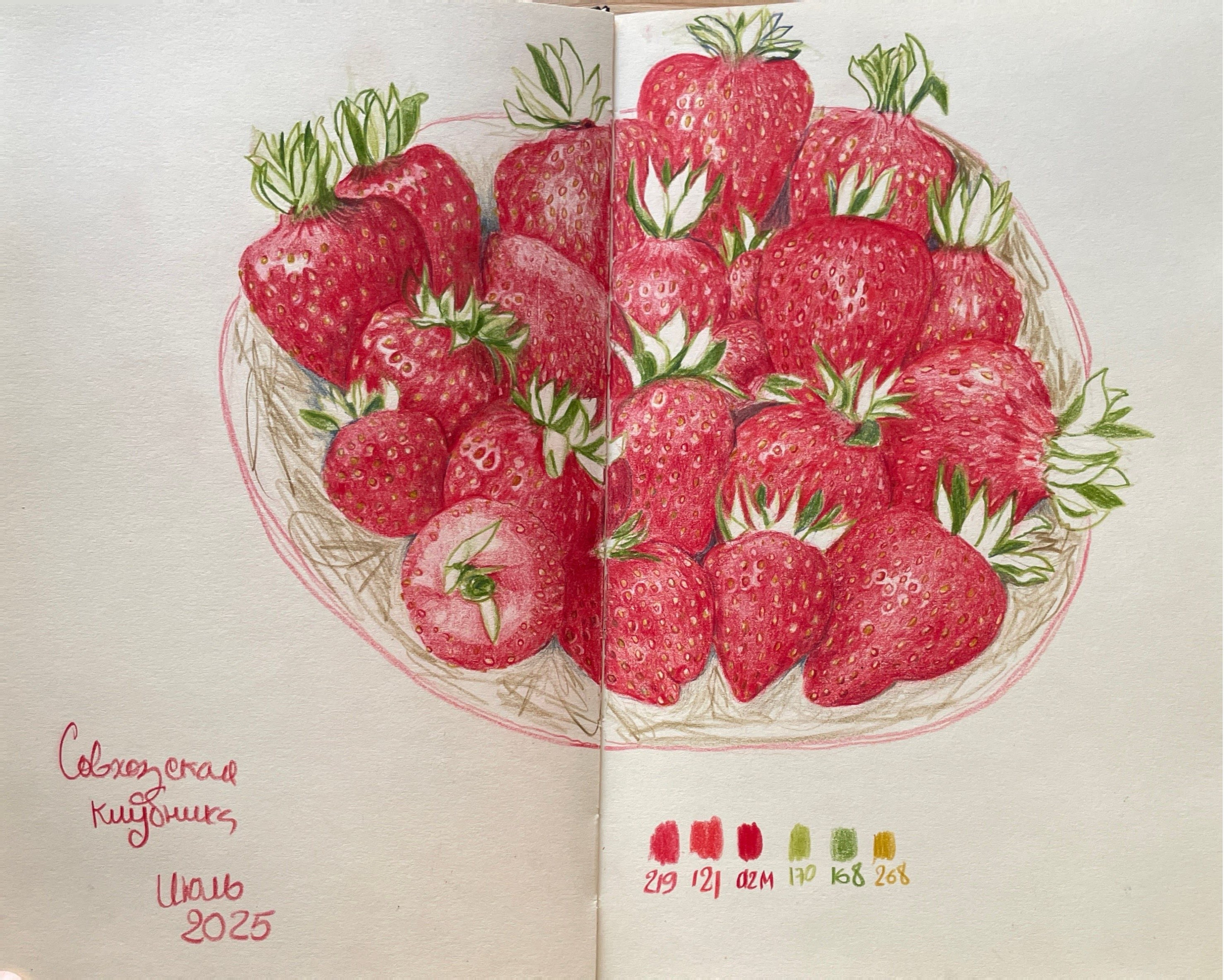 Карандаши. Аня Степанова