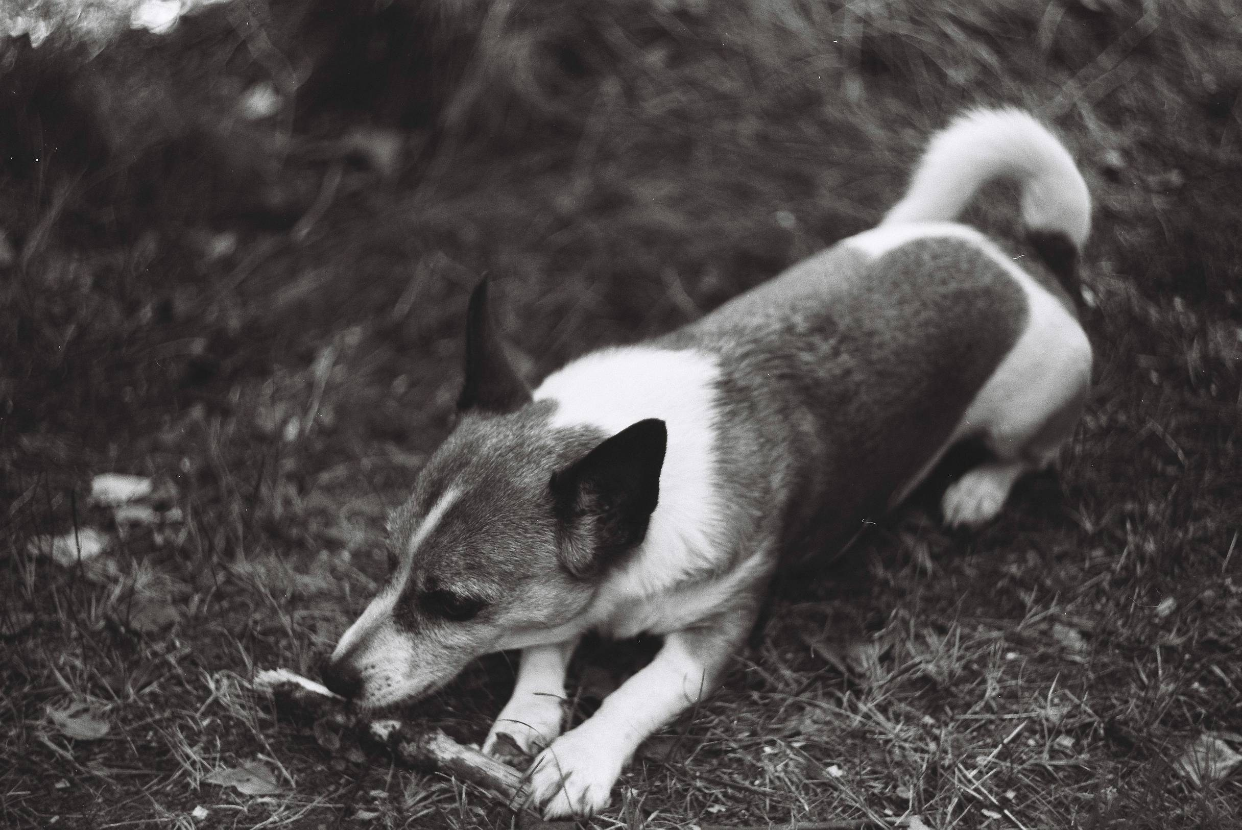 Уличная фотография. Репортажный фотограф в СПб