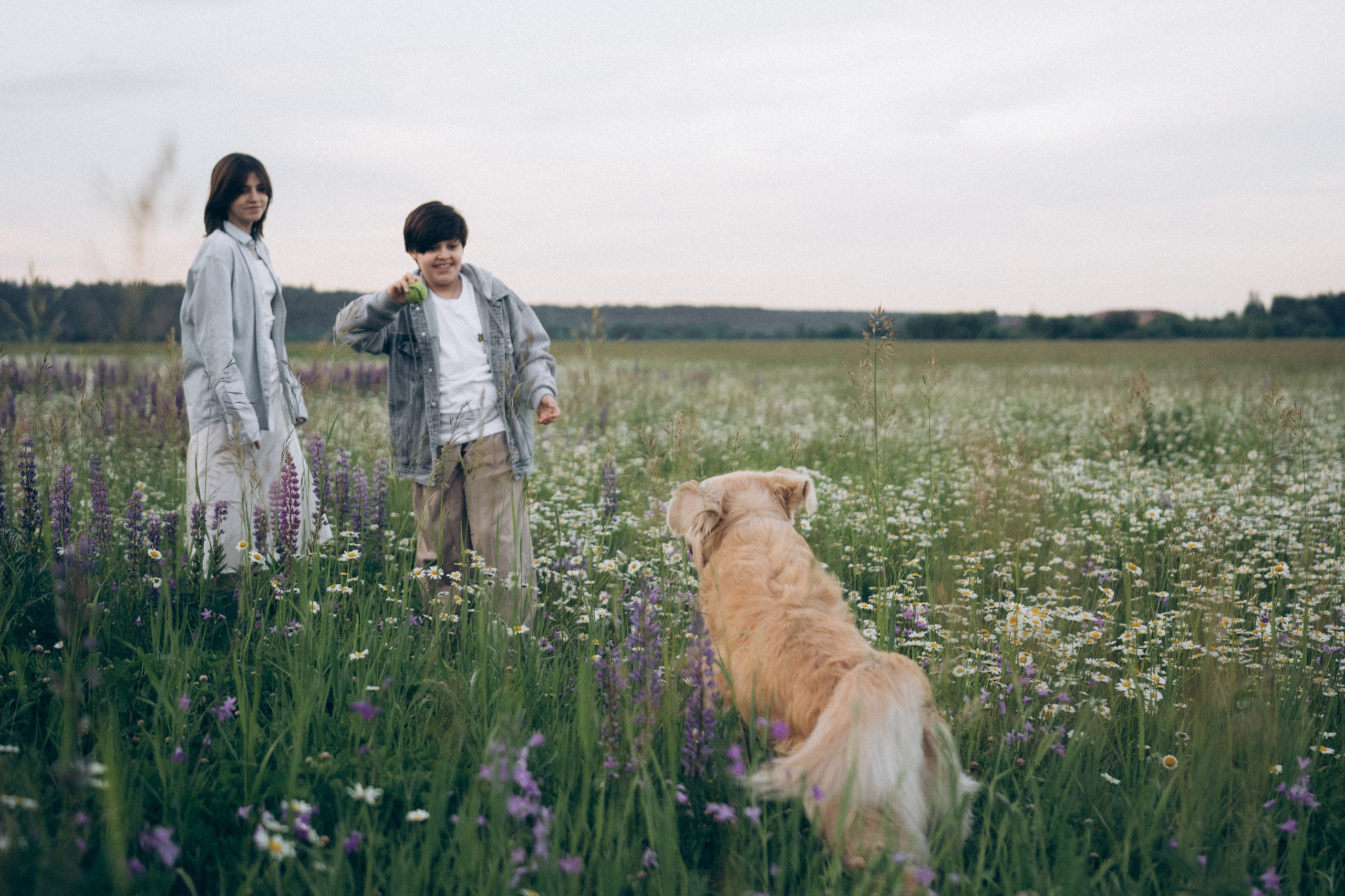 Кристина, Александр, Каролина, Владлен и Космос. Фотограф анималист в Москве и Санкт-Петербурге Свиридова Анна