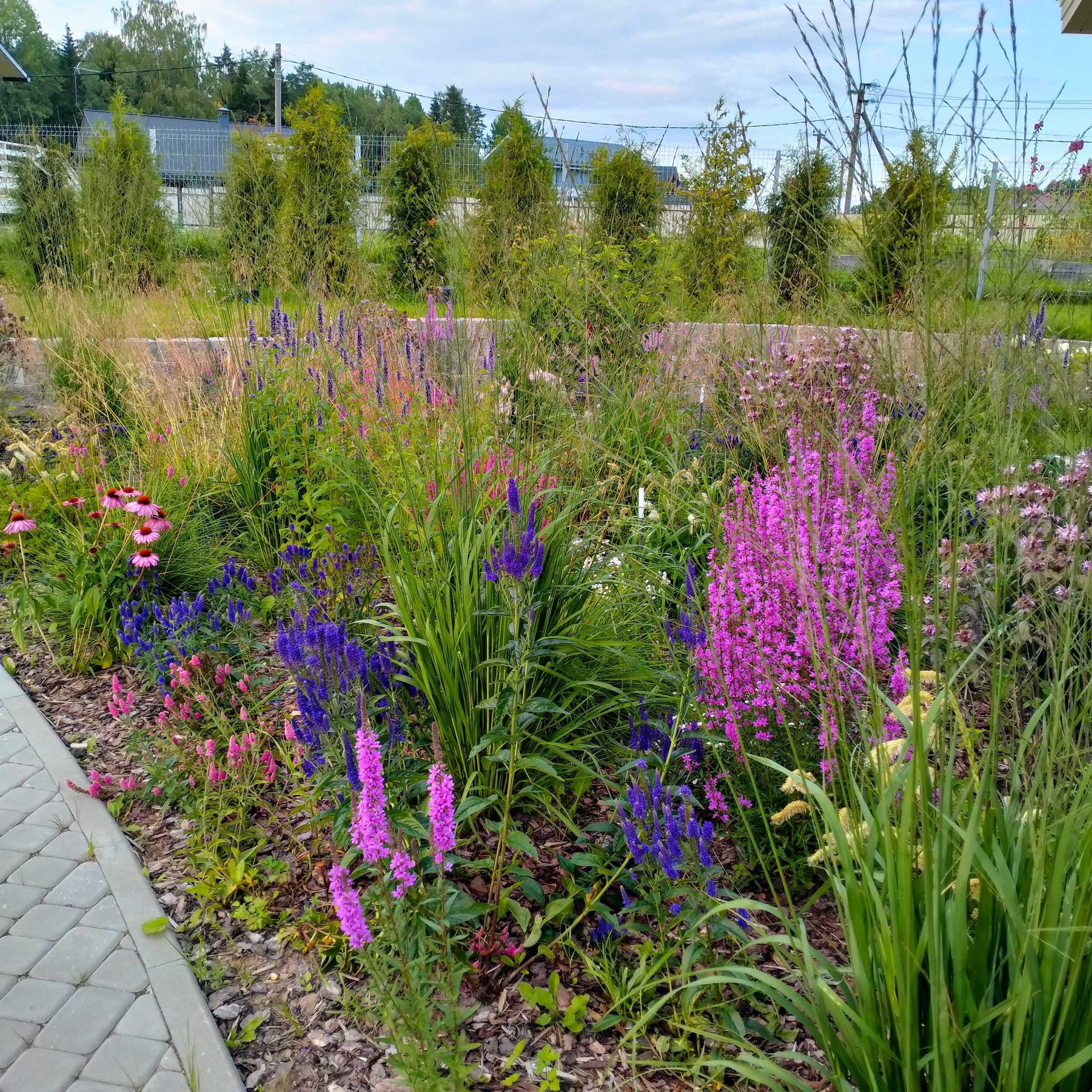 Сад за сезон. Дизайнер интерьера, Санкт-Петербург