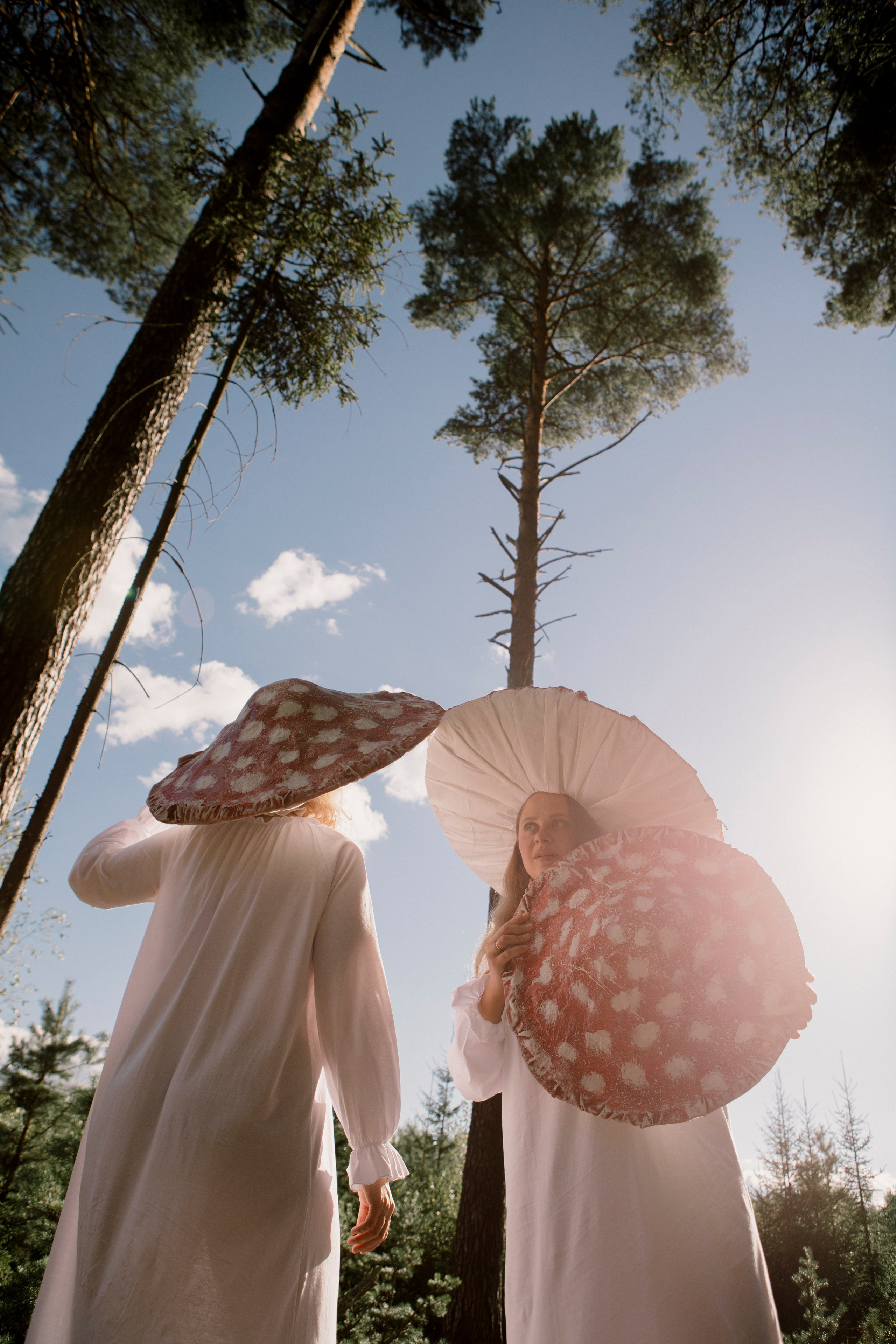 Грибы. Ольга Пилант. АРТ, бэкстейдж, свадебная и семейная фотография, городской портрет, интерьерная фотография