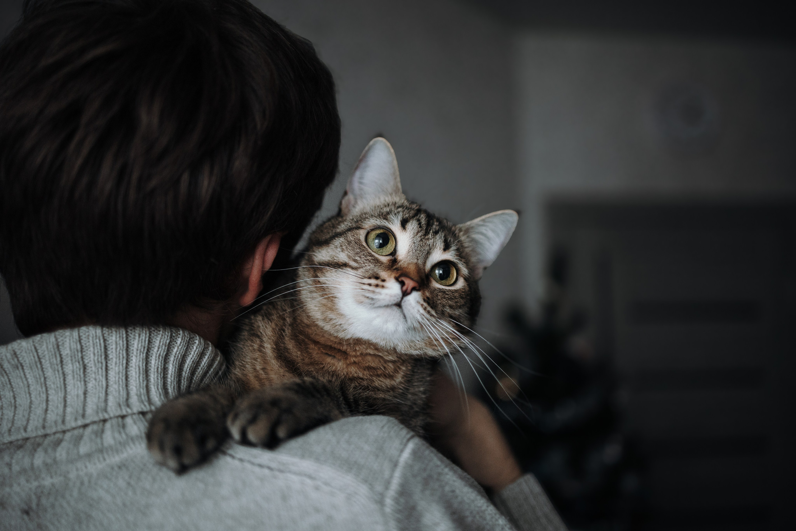 Мася и ее семья. Фотограф — Анималист | Санкт-Петербург