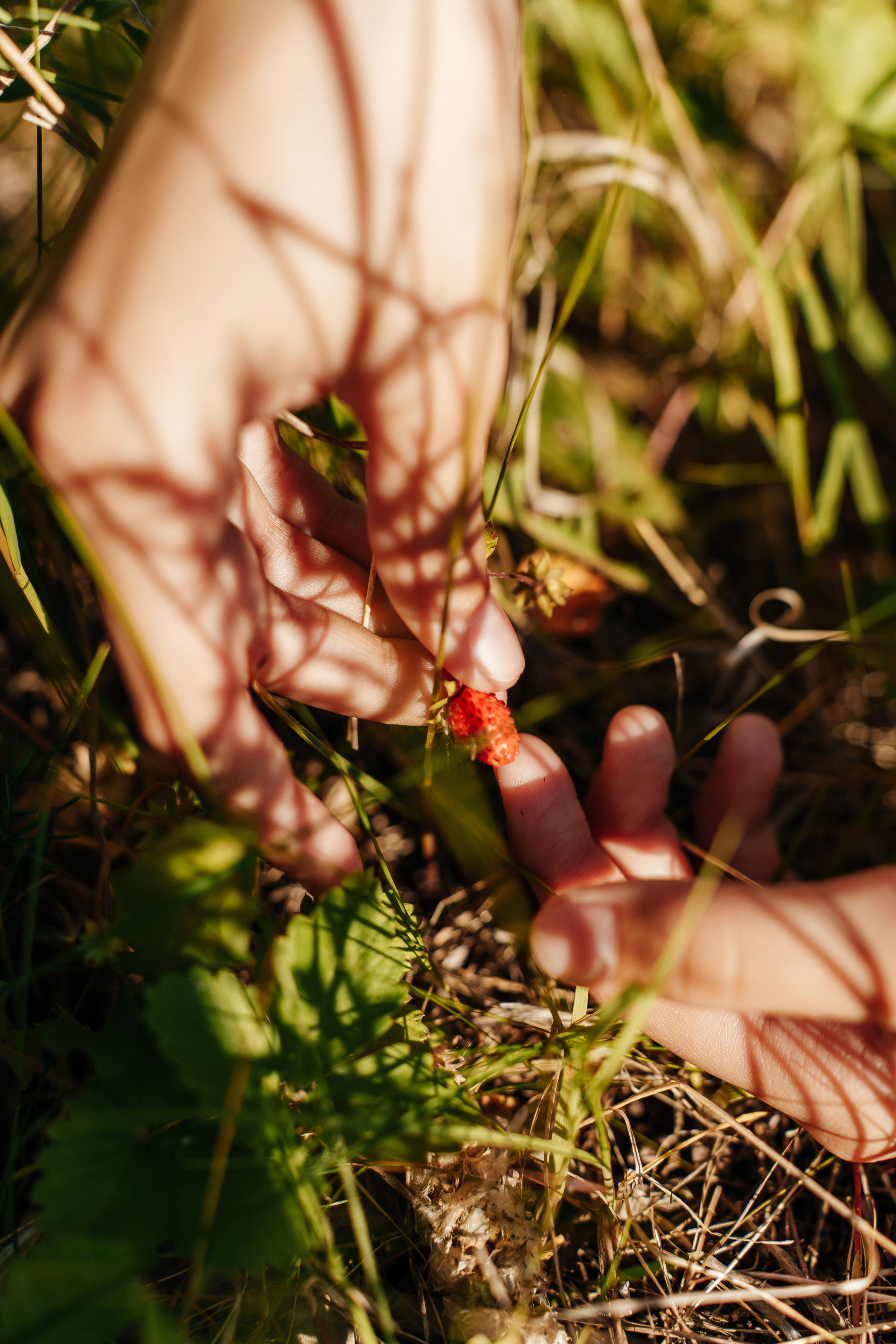 Люба и Алина. Лайфстайл фотограф в Ханты-Мансийске Мария Шишкина