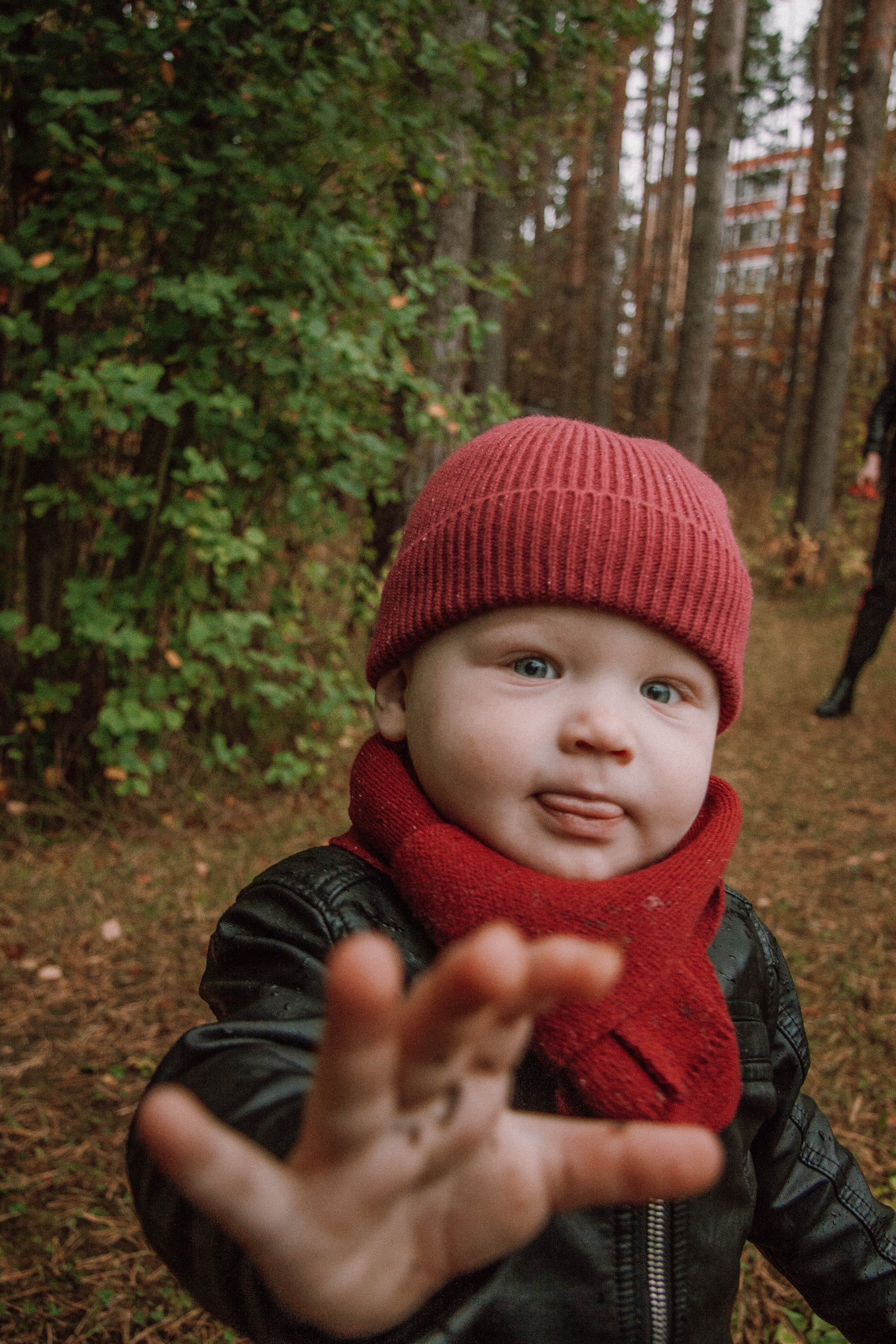 Autumn. Фотограф Елизавета Маслова. Москва. Art, Fashion