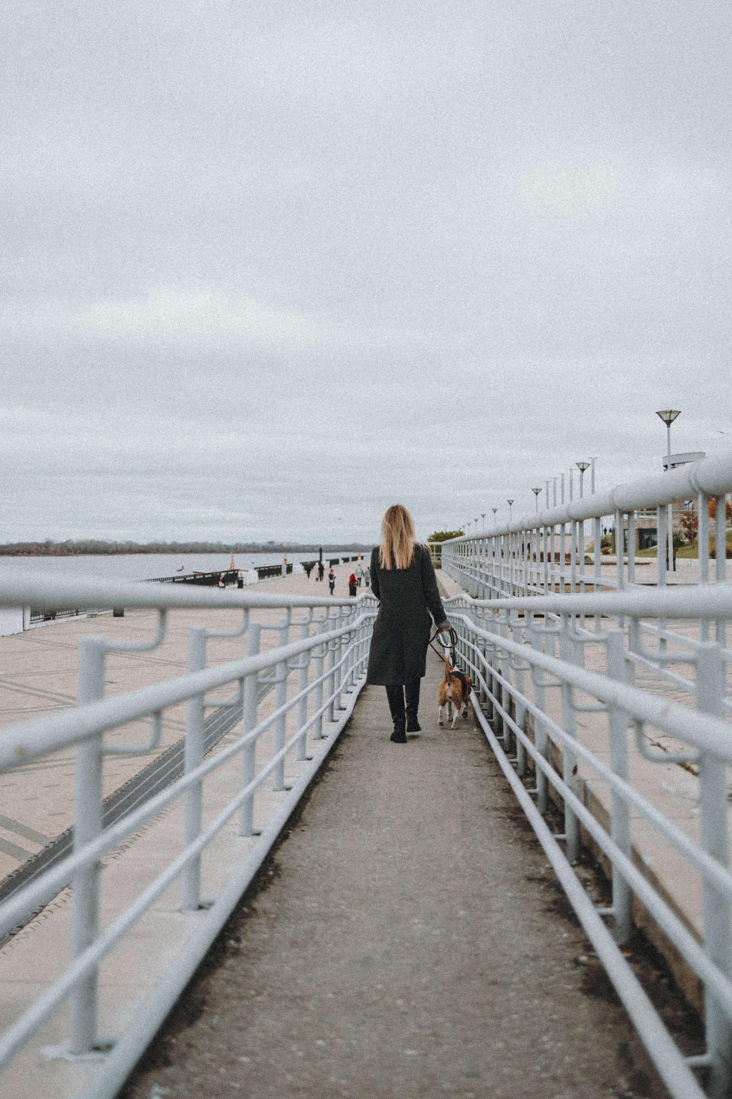 Аня и Моня. Фотограф — анималист Светлана Кысса|фотограф собак в Краснодаре и Нижнем Новгороде