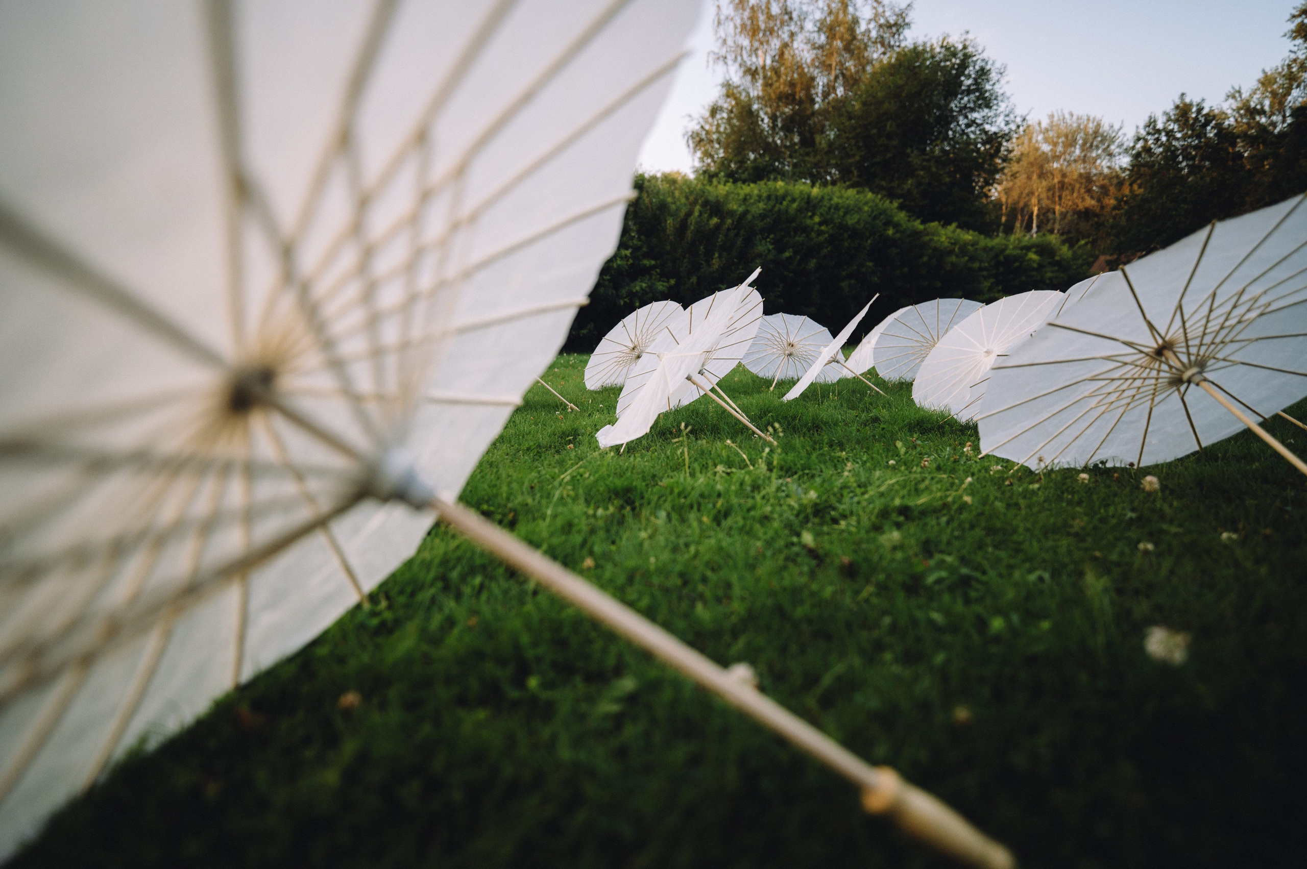 Вадик и Мари. Профессиональный фотограф Алексей Васенцев. Минск, СПБ, Москва