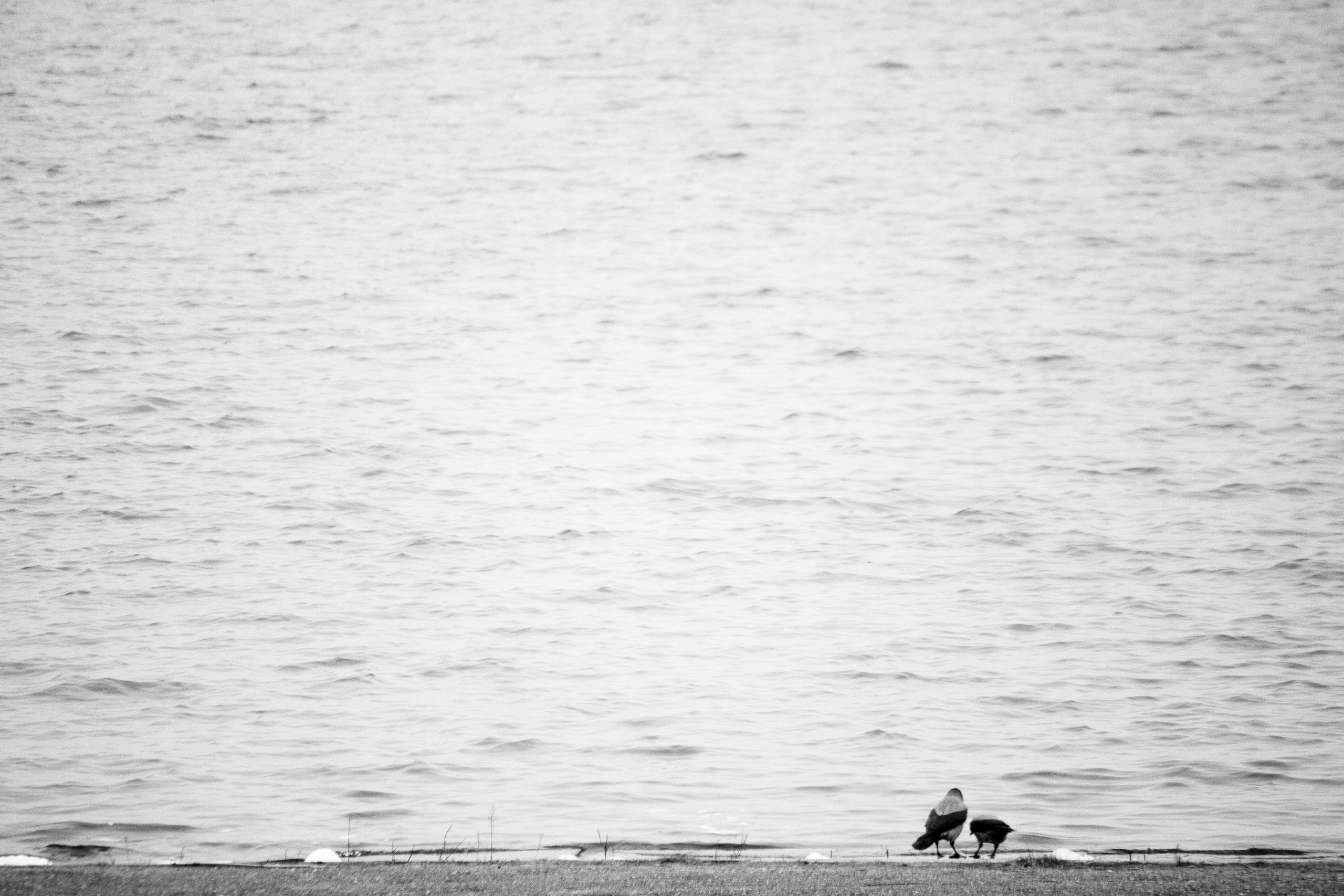 О себе. Фотограф Наталья Мершина