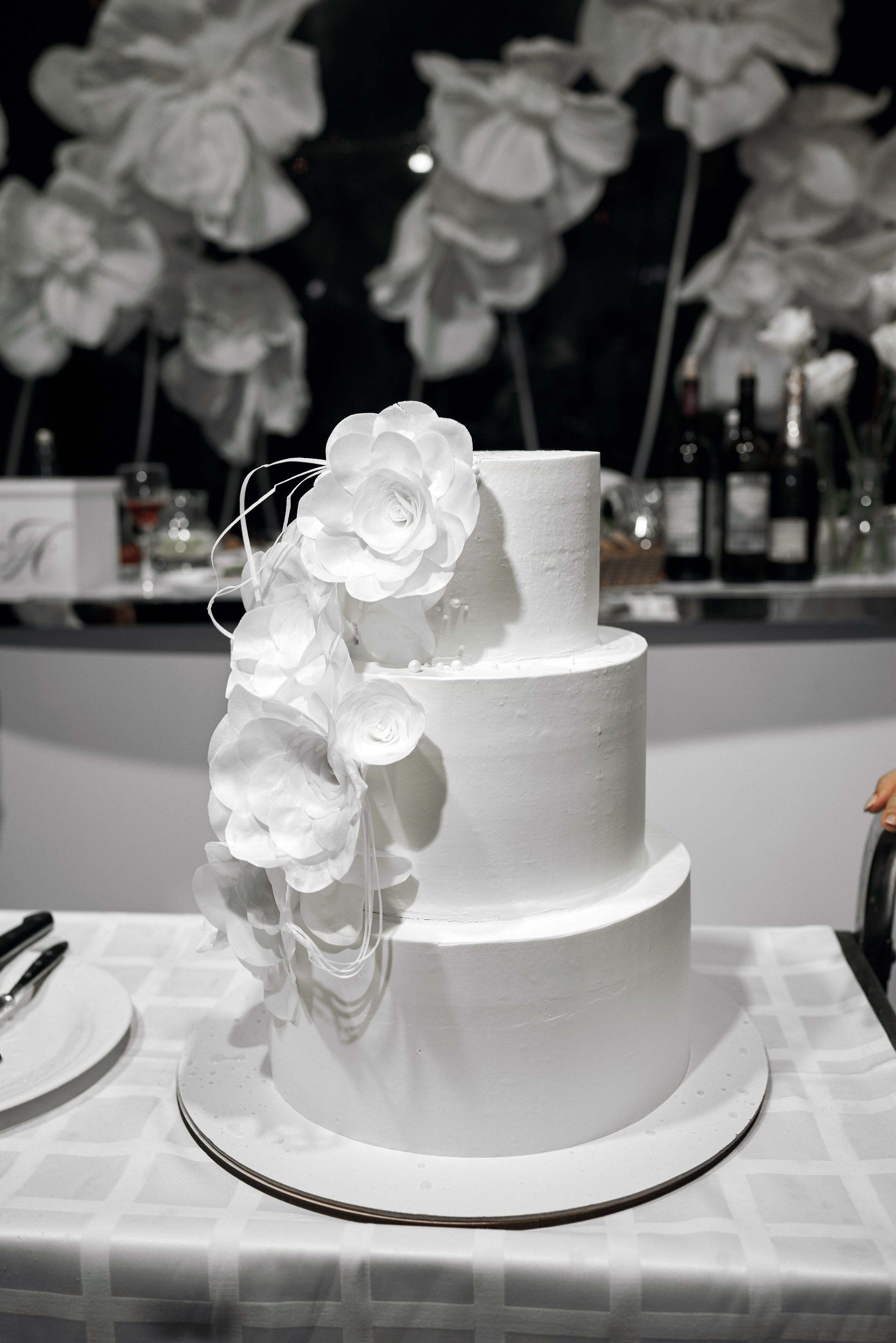 А|Н. Фотограф Михаил Ефремов